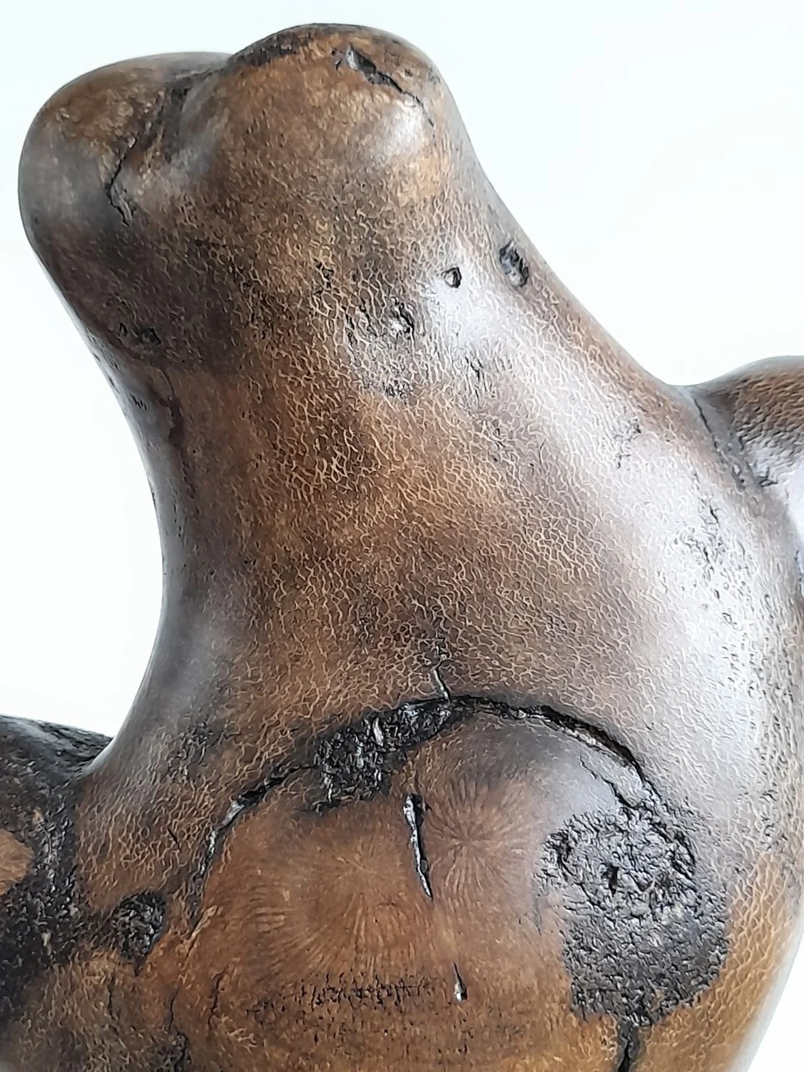 Macro close-up detail of open grain texture and dark wax finish on salvaged She-Oak timber sculpture.