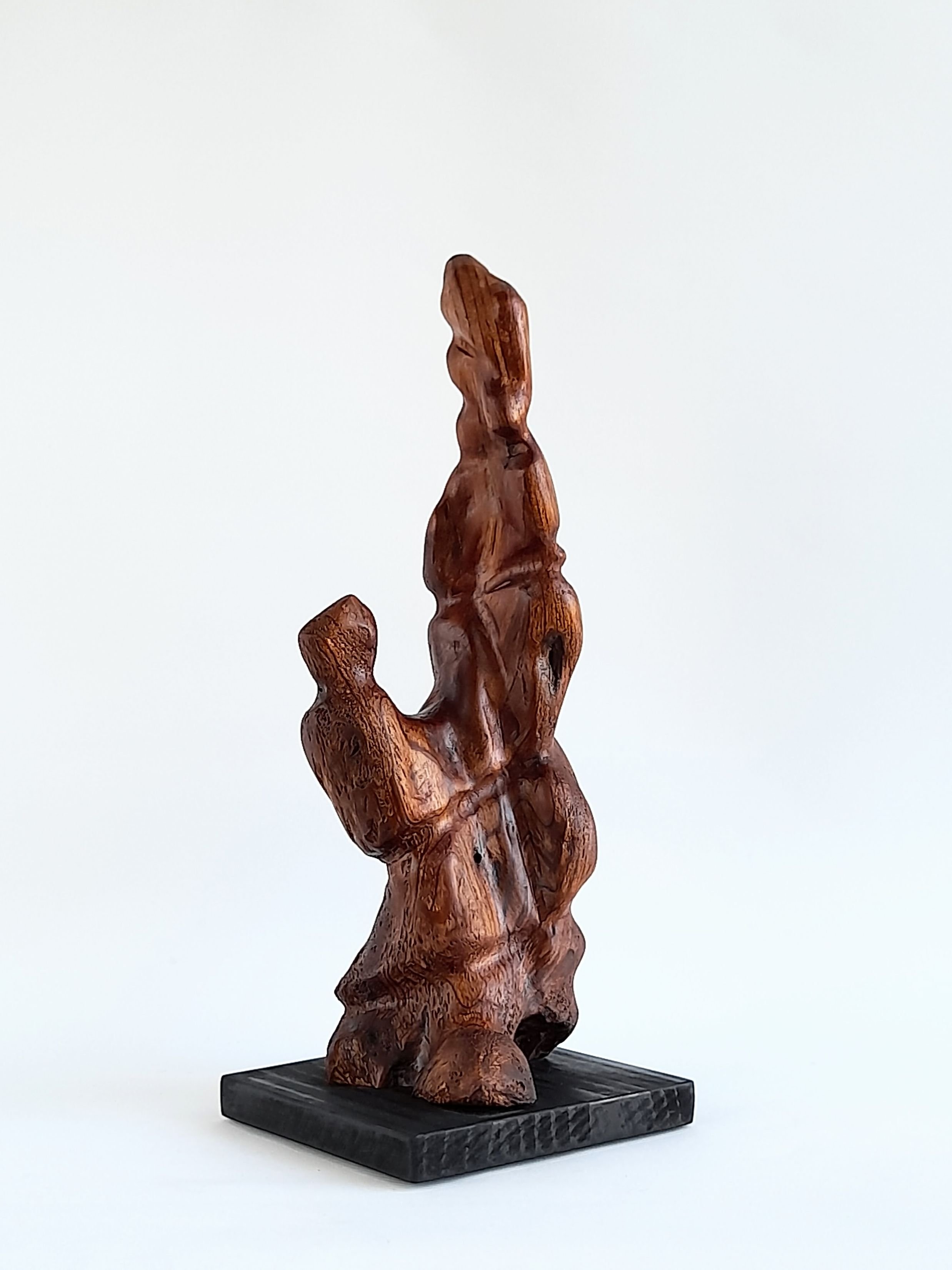 Carved wooden sculpture titled Adoration, featuring tender, interconnected sweeping curves in rich Australian timber.