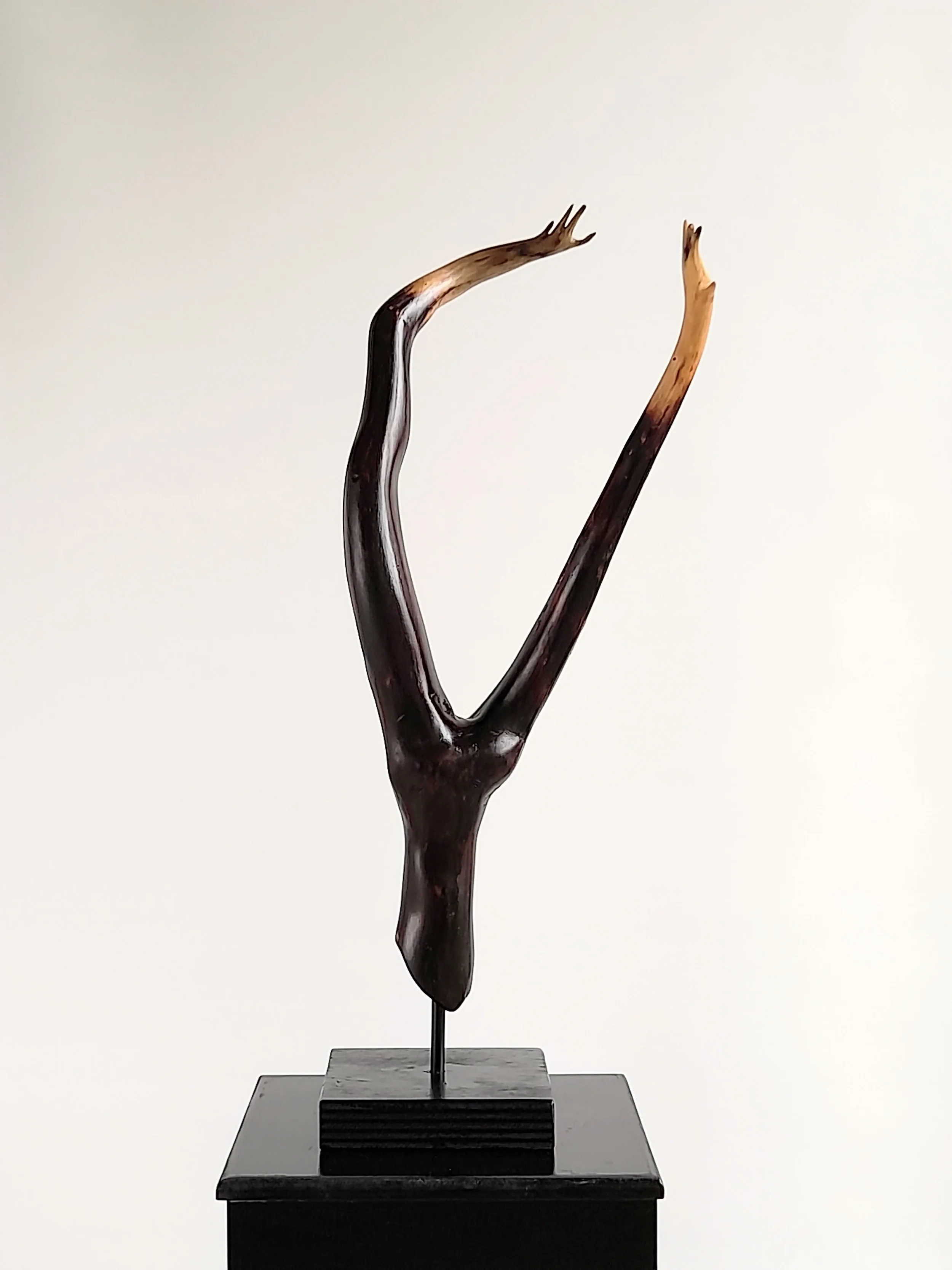 Minimalist charred Illawarra Flame Tree wood sculpture reaching upward on a black stand titled Reaching Through.