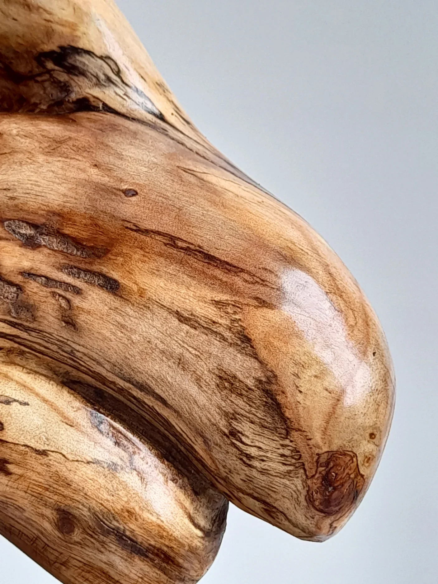 Close-Up of Abstract Golden Sassafras wood sculpture depicting birds surfing on dolphins on a black pedestal titled Pacific Riders.
