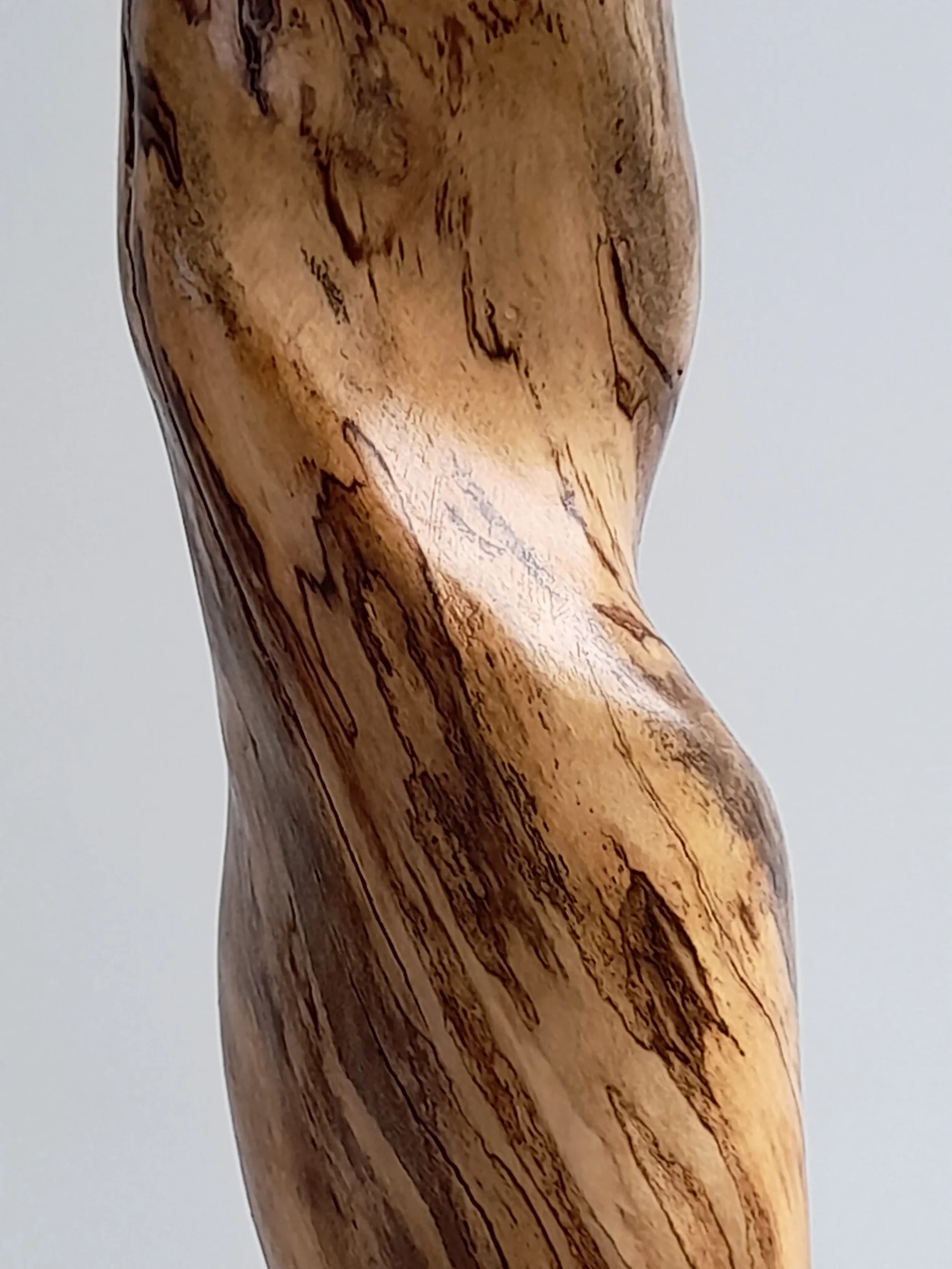 Close-Up of Tall twisting 77 cm hand-carved Golden Sassafras wood sculpture on a black pedestal titled Coiled Grace.