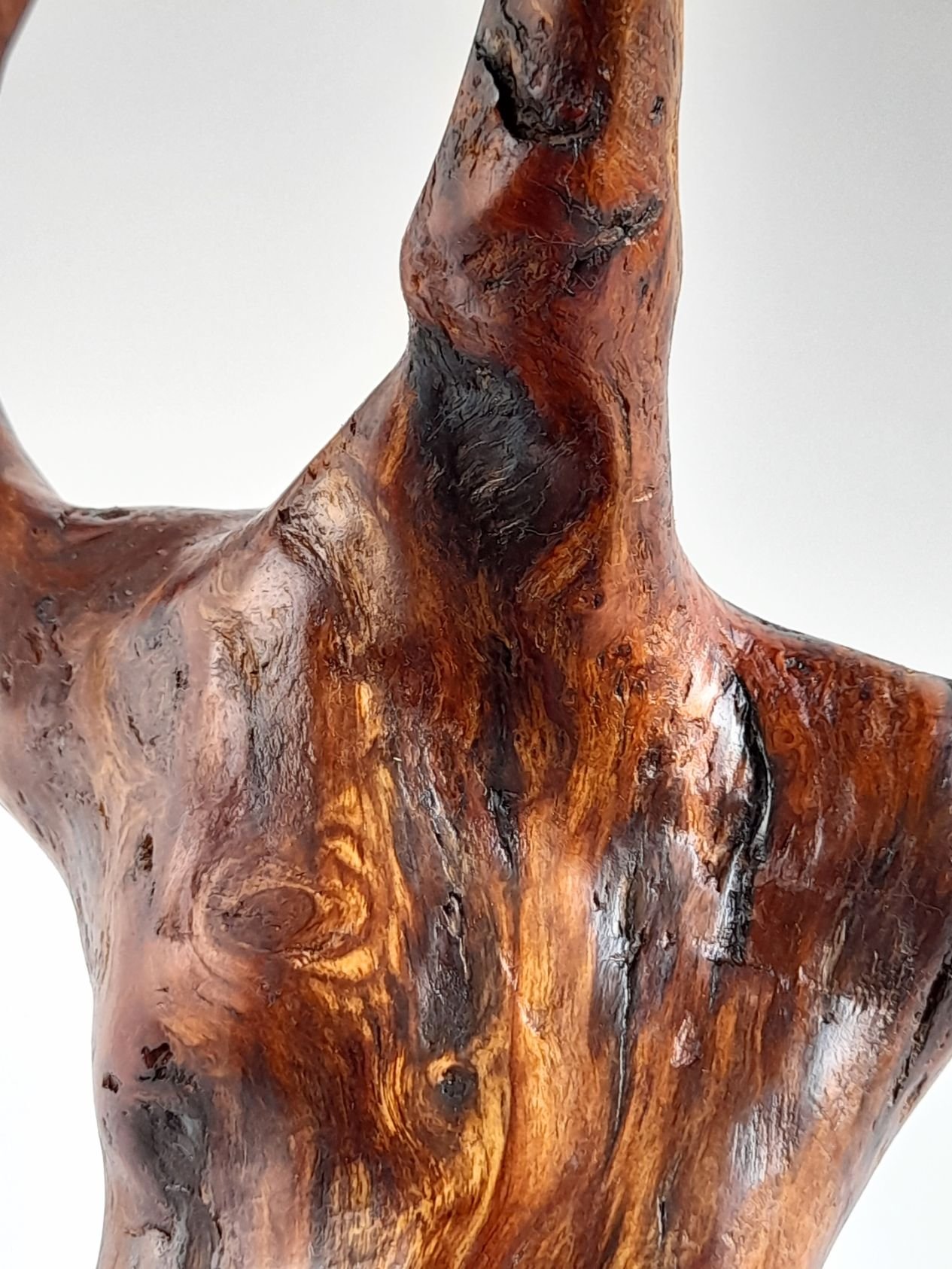Detailed close-up of Dancing Horse sculpture showing fine carved muscle lines, sweeping timber grain, and hand-polished finish.