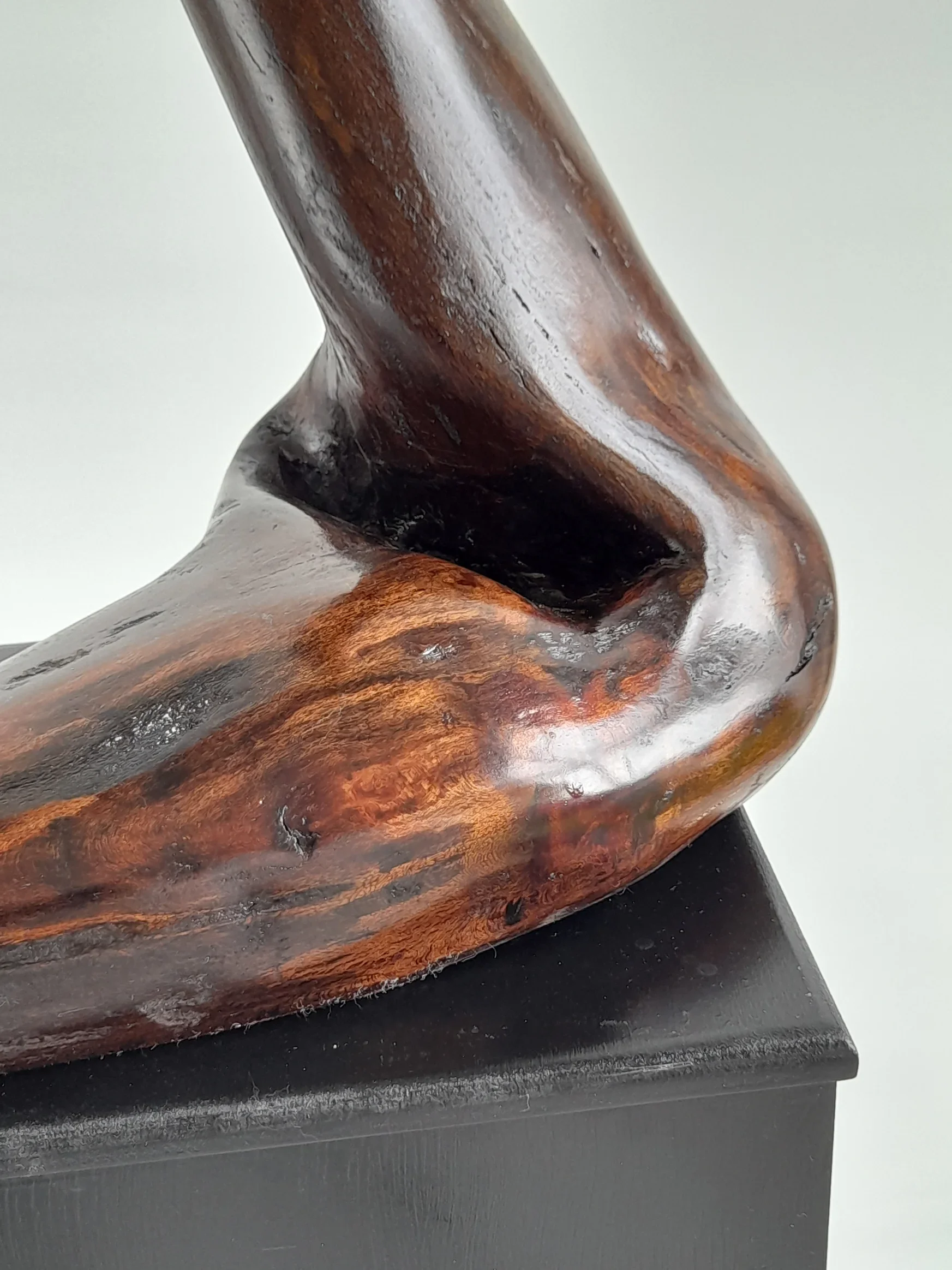 Close-Up view of large abstract hand-carved dark Australian Blackwood avian sculpture mimicking a South Coast pelican on a black pedestal titled Majestic Grace.