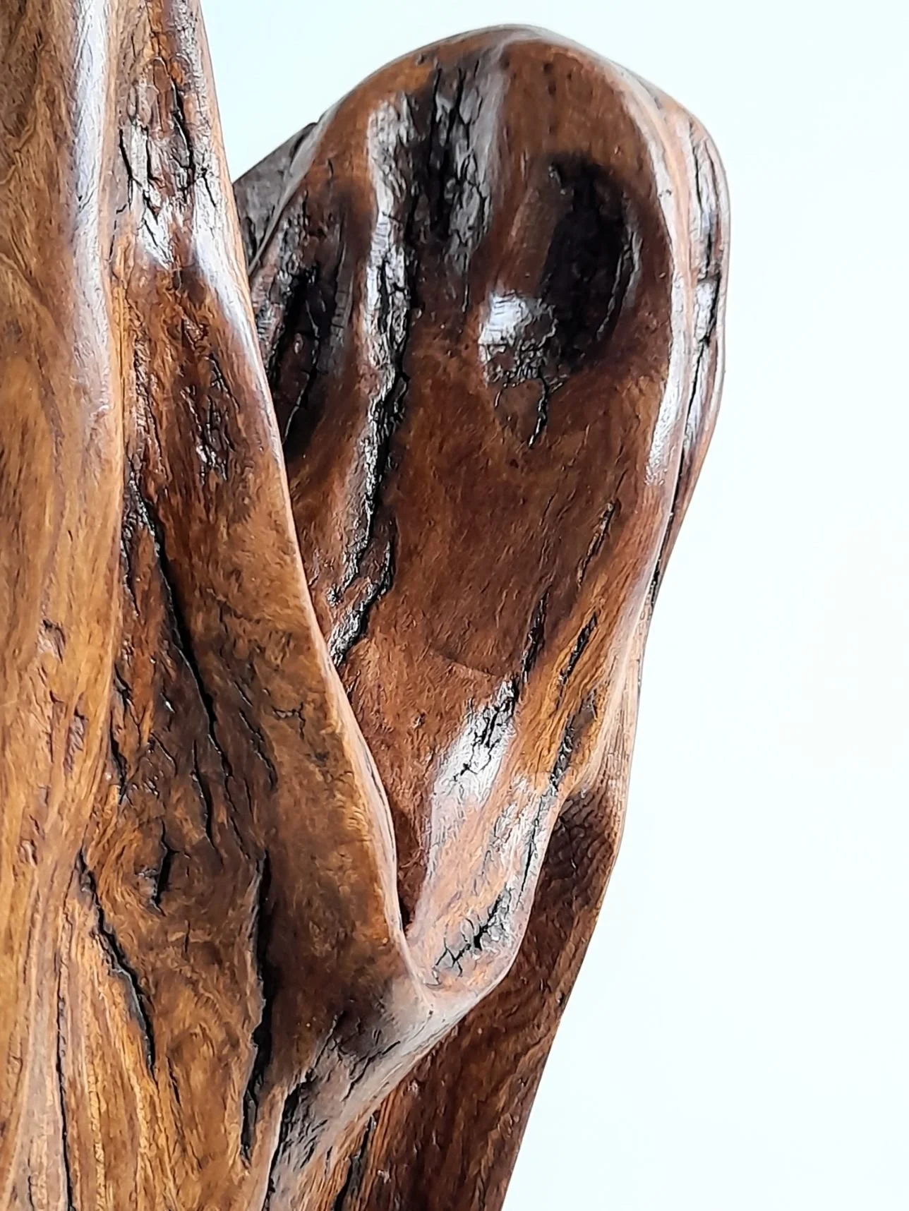 Detailed close-up of The Dance of Life wooden sculpture highlighting smooth flowing curves and rich natural wood grain highlights.