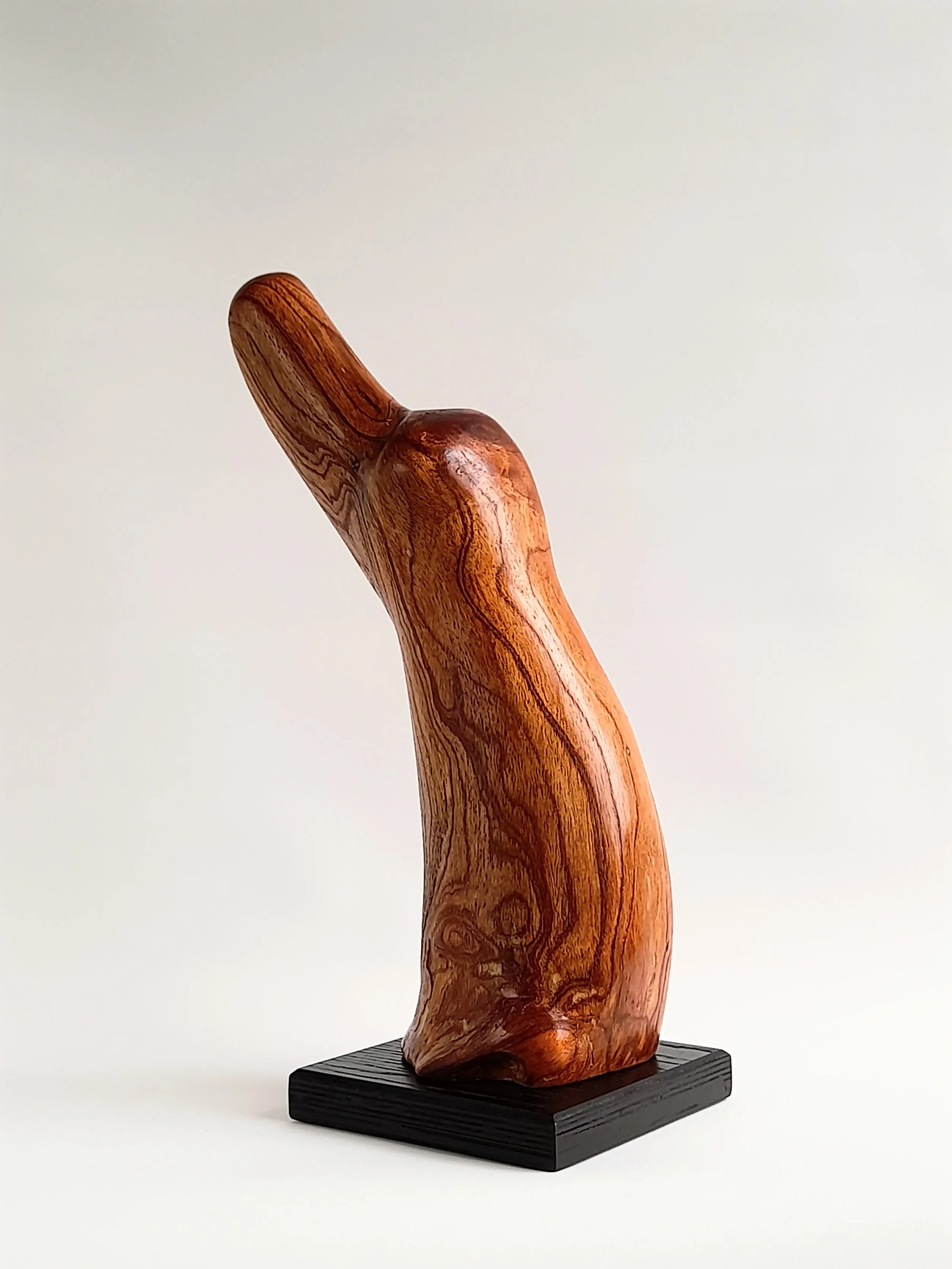 Fluid hand-carved Australian Red Cedar animal sculpture on a black pedestal titled Vigilant.
