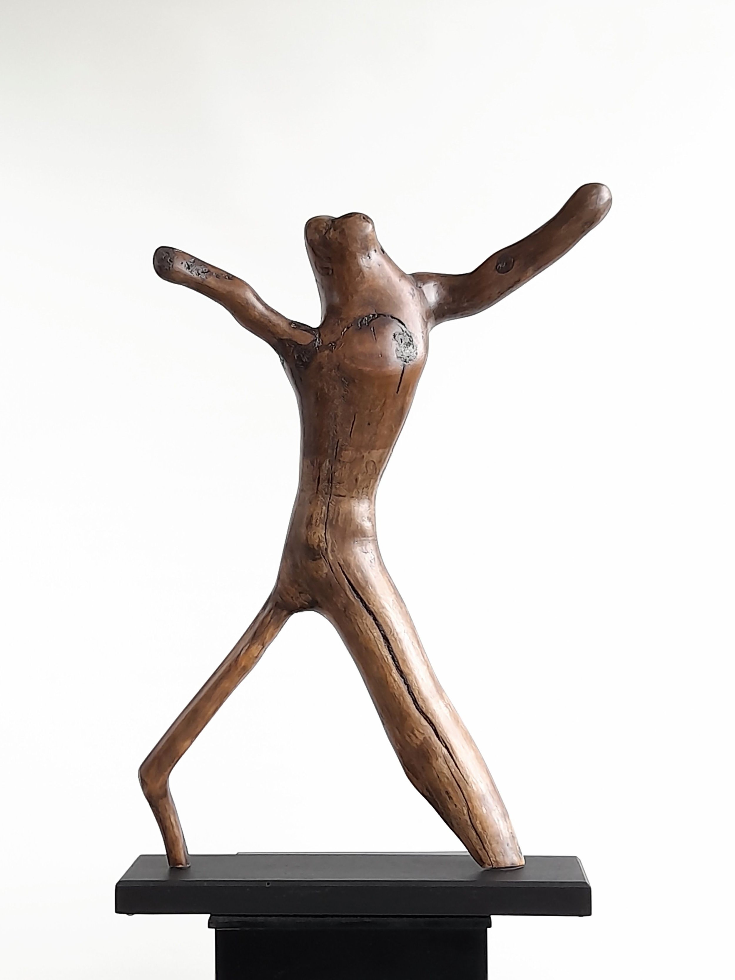 Side view of Alien Dancer timber sculpture showing contrasting leg dimensions and dark wax finish on She-Oak grain.