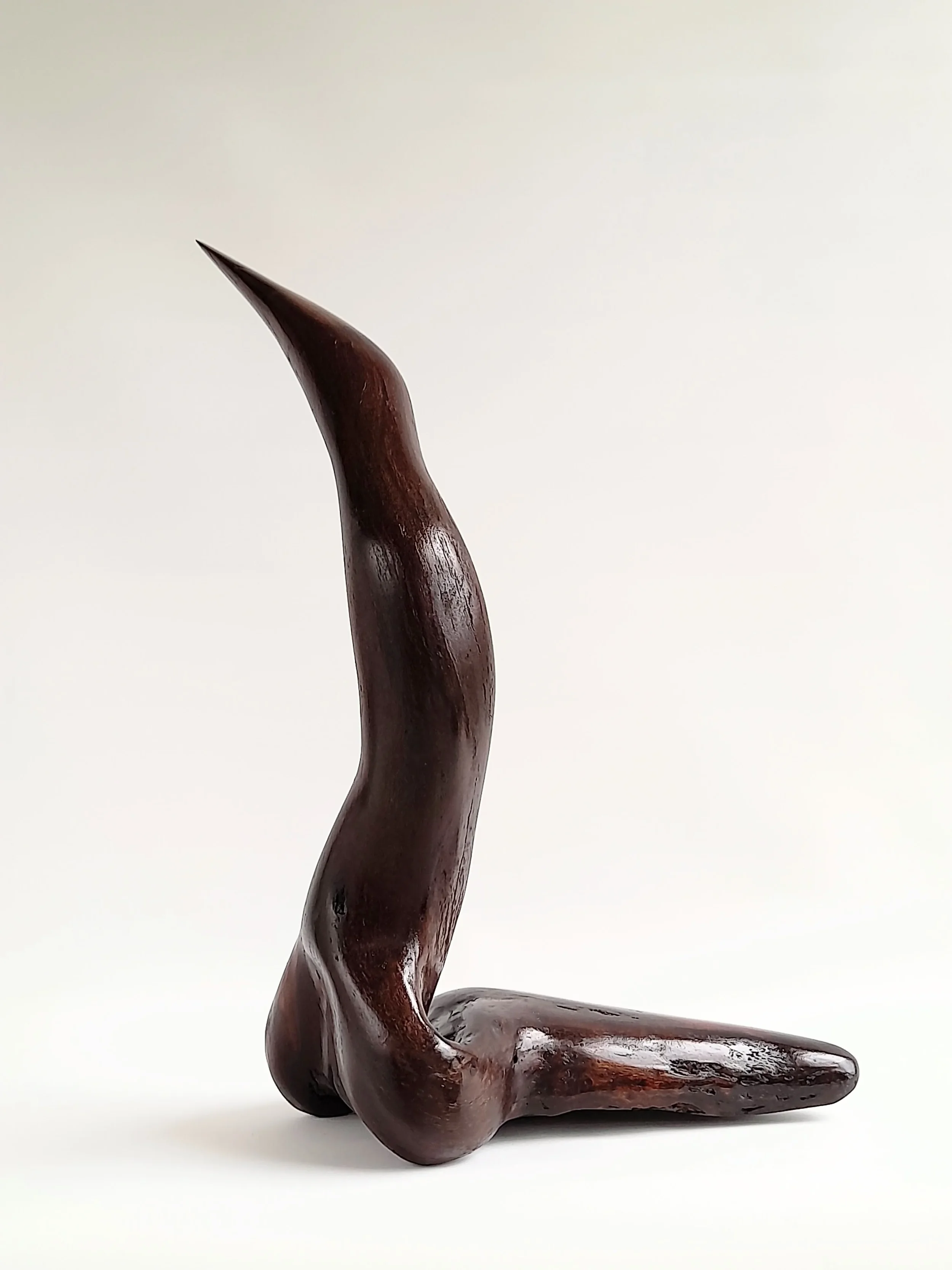 Large abstract hand-carved dark Australian Blackwood avian sculpture mimicking a South Coast pelican on a black pedestal titled Majestic Grace.