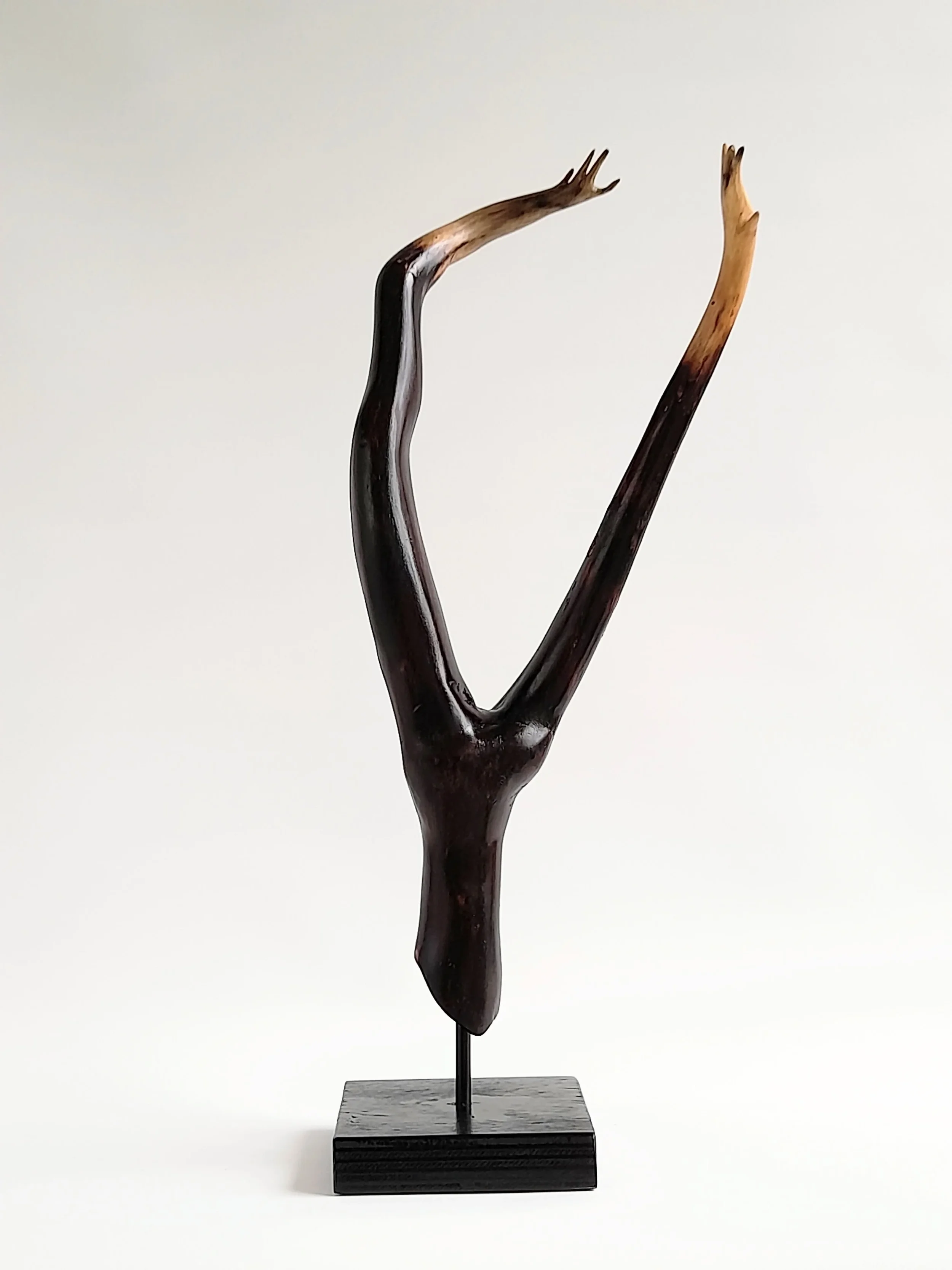 Minimalist charred Illawarra Flame Tree wood sculpture reaching upward on a black stand titled Reaching Through.