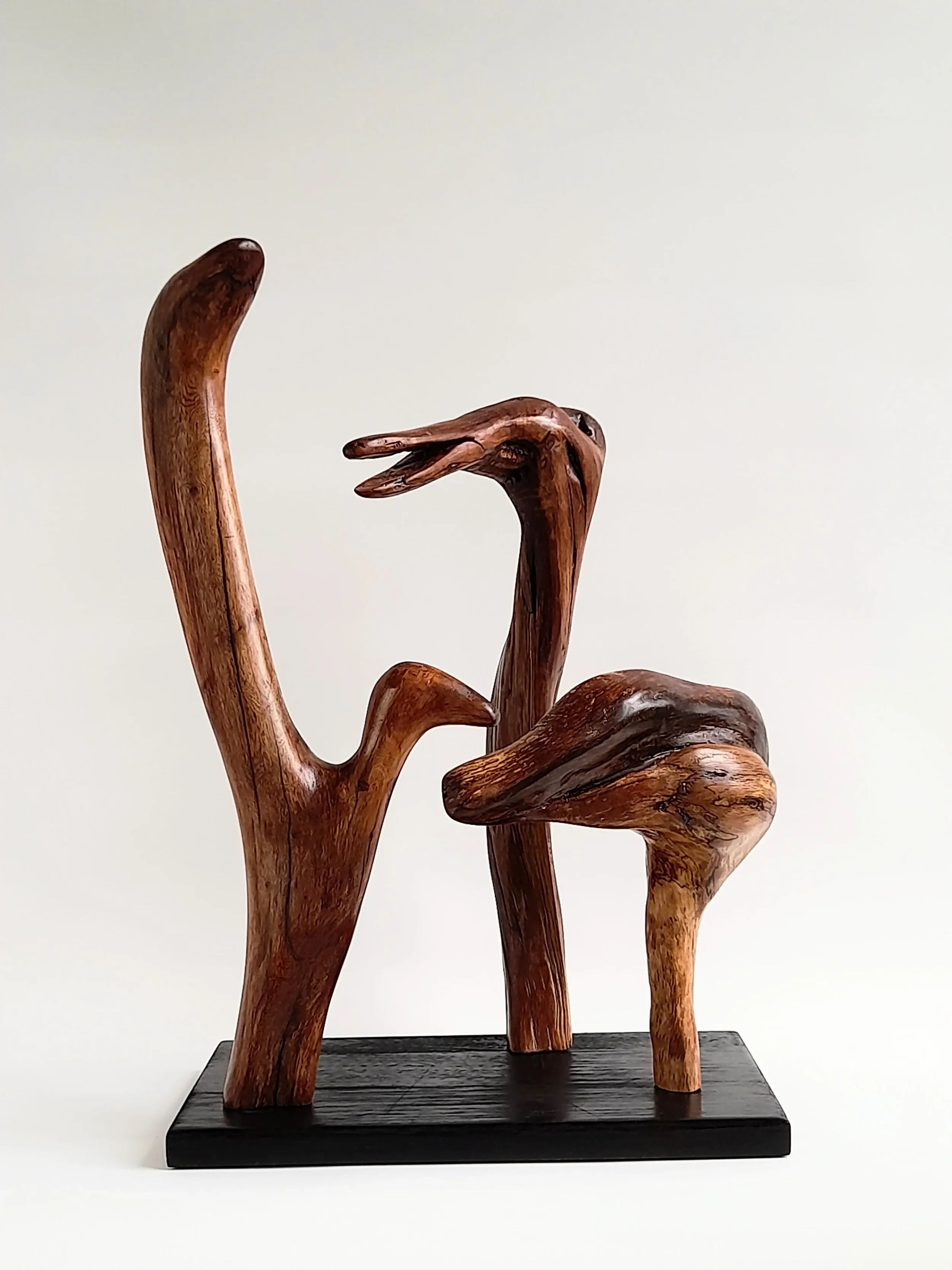Group of three distinct hand-carved wood bird sculptures on a single black pedestal titled Harmonious Diversity.