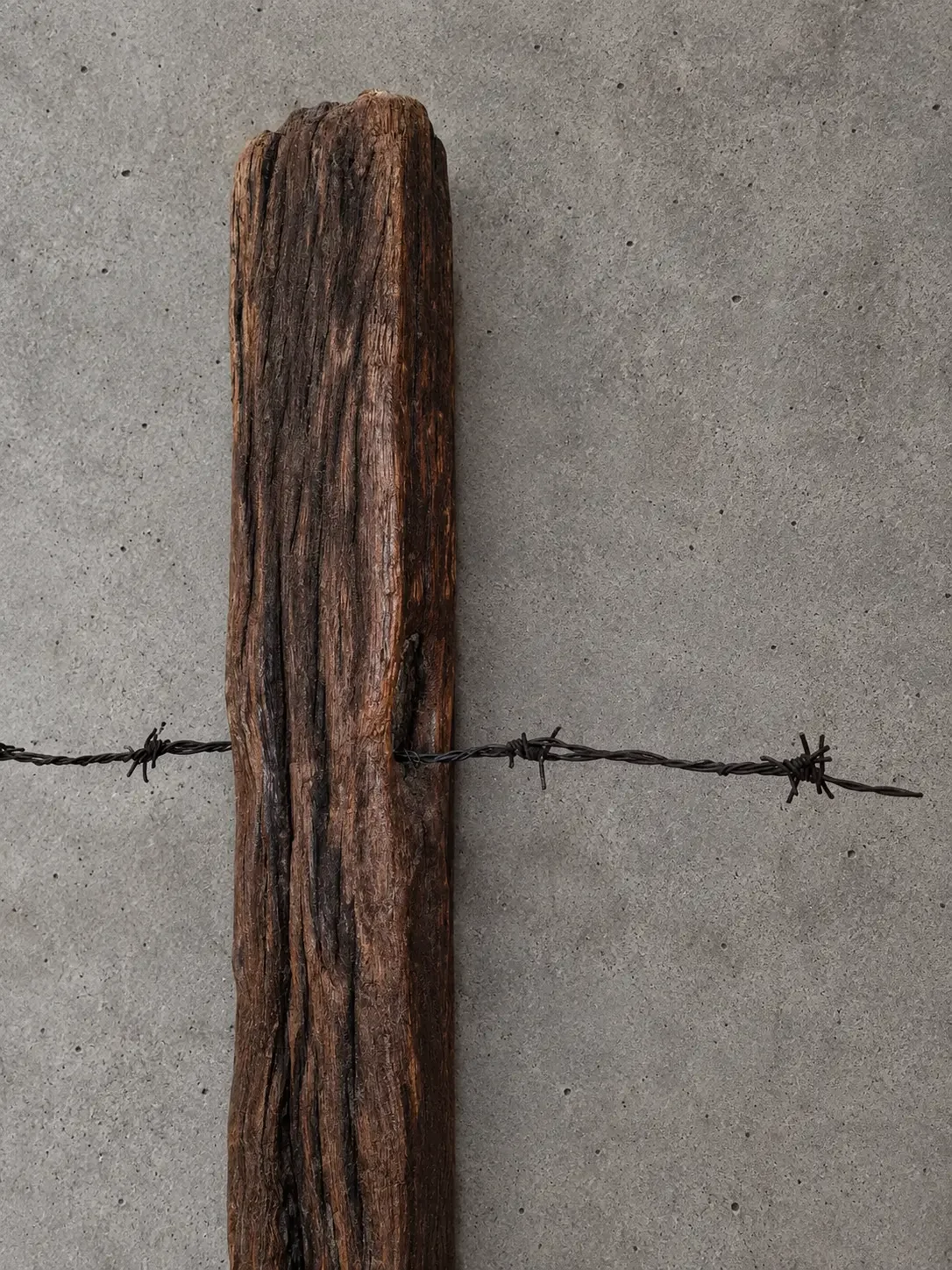 kiama-ironbark-wall-light-detail-wire-ole-jensen.webp (2).webp