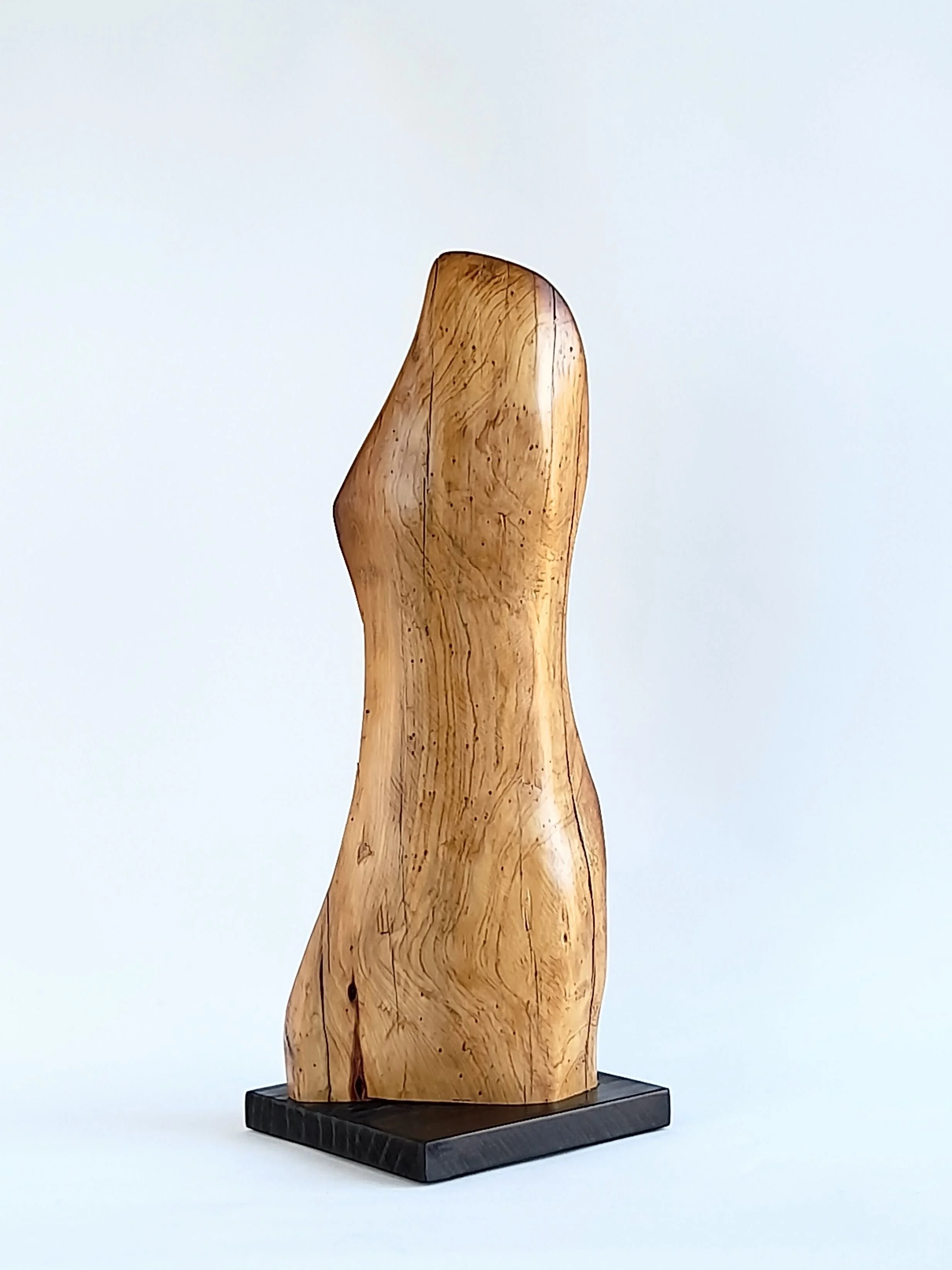 Detailed close-up of Duality of Being sculpture showing the juxtaposition between smooth polished surfaces and textured carved wood.