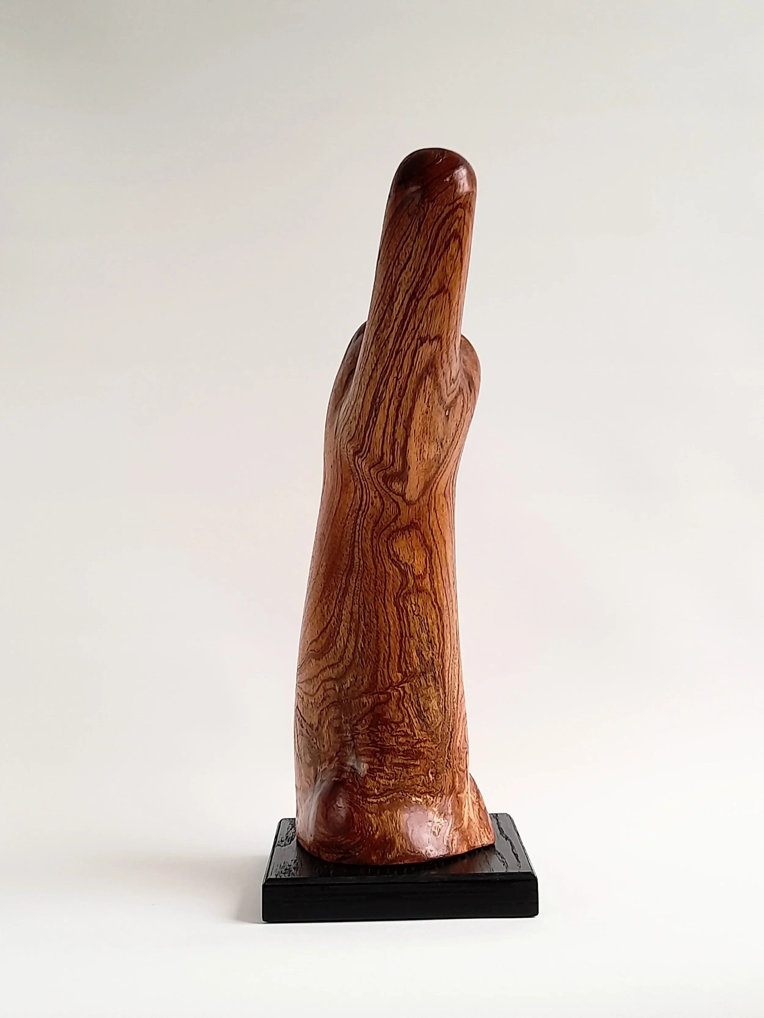 Organic hand-carved Australian Red Cedar animal sculpture on a black pedestal titled Vigilant.