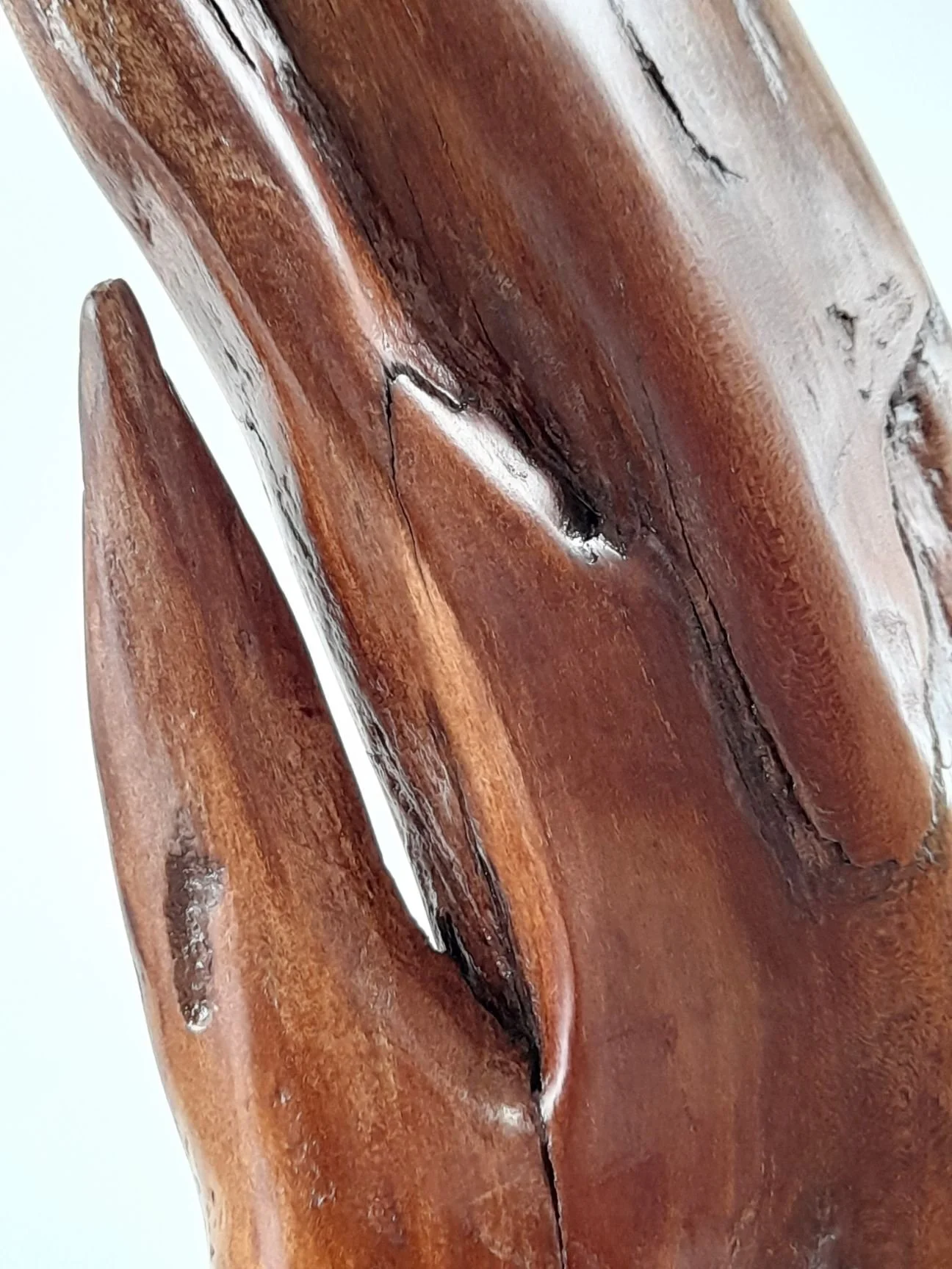 Ocean Ascent hand-carved coastal timber in Red Mahogany sculpture by Ole Jensen.