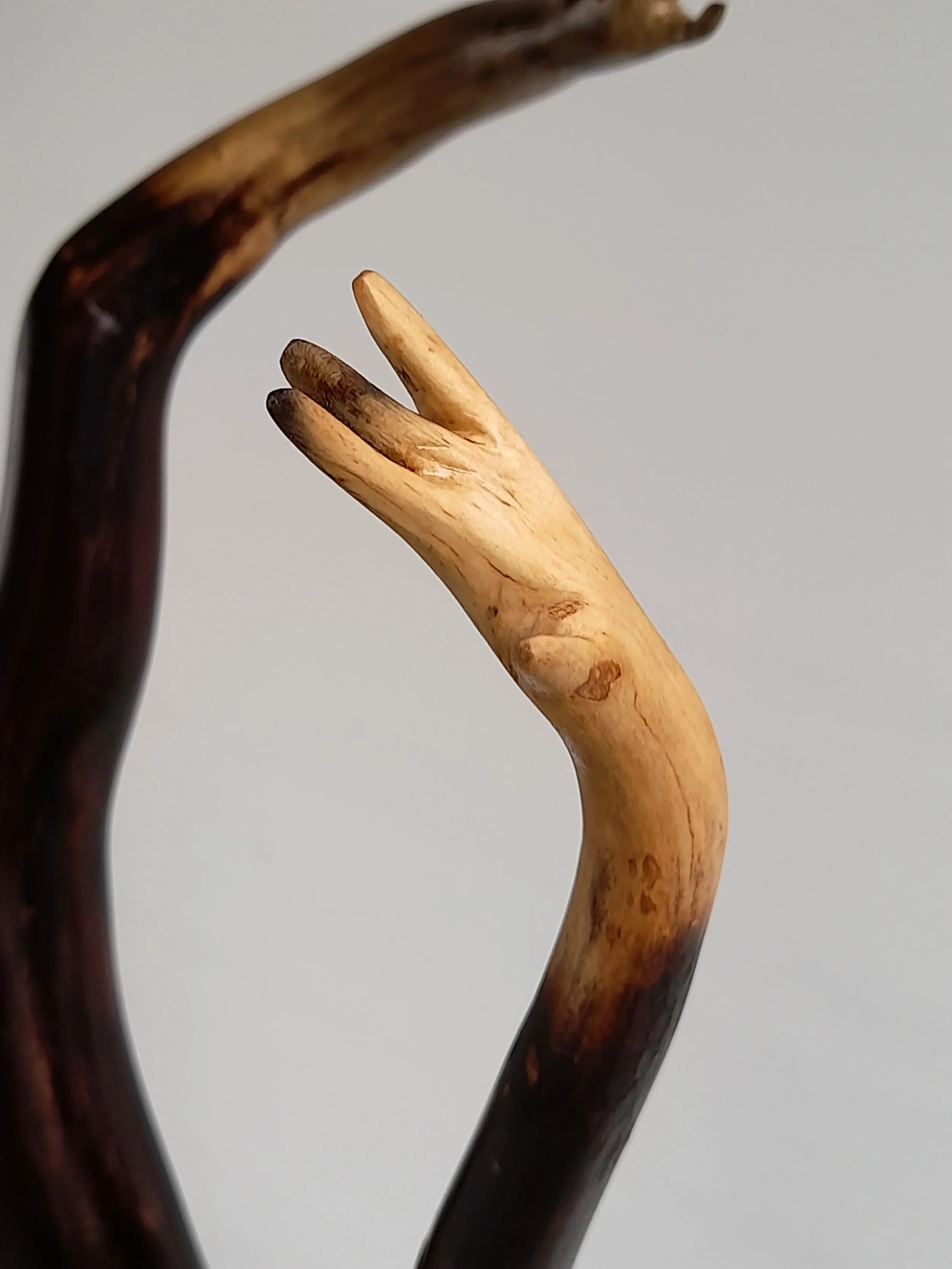 Close-Up of Minimalist charred Illawarra Flame Tree wood sculpture reaching upward on a black stand titled Reaching Through.