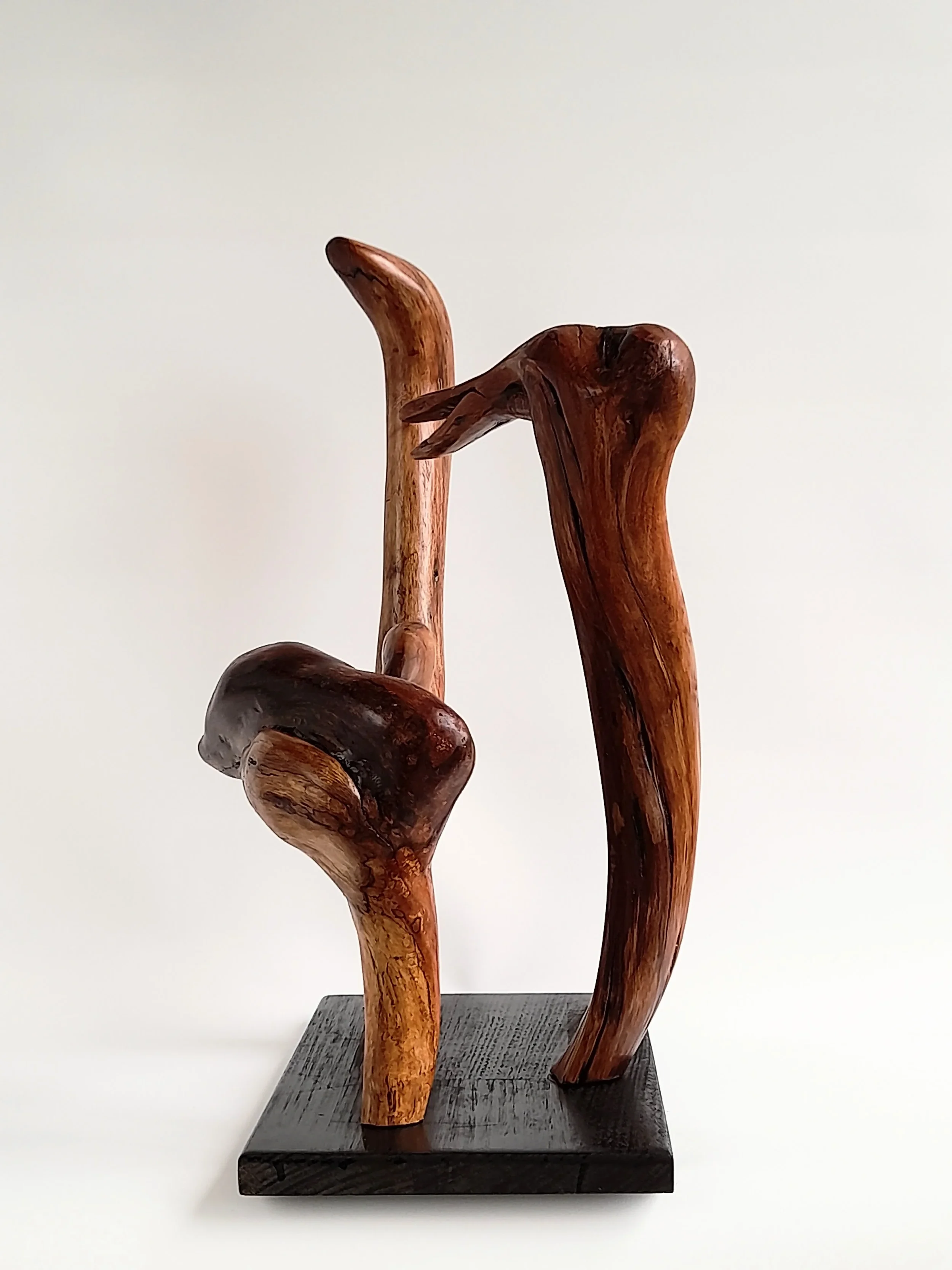 Group of three distinct hand-carved wood bird sculptures on a single black pedestal titled Harmonious Diversity.