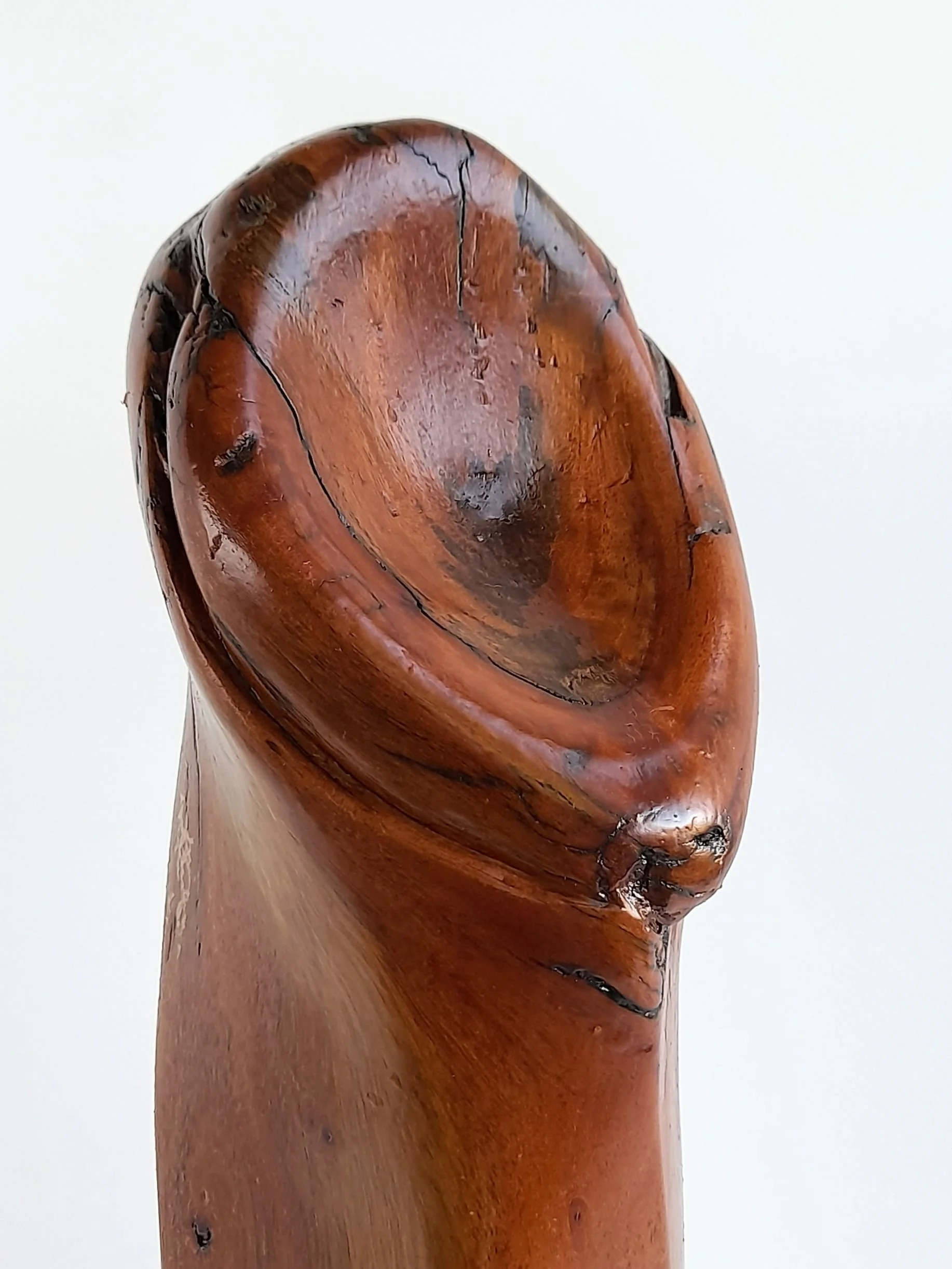 Close-up view of Vitality sculpture highlighting the deep red grain of Australian Red Mahogany, smooth carved edges, and glowing hand-polished finish.