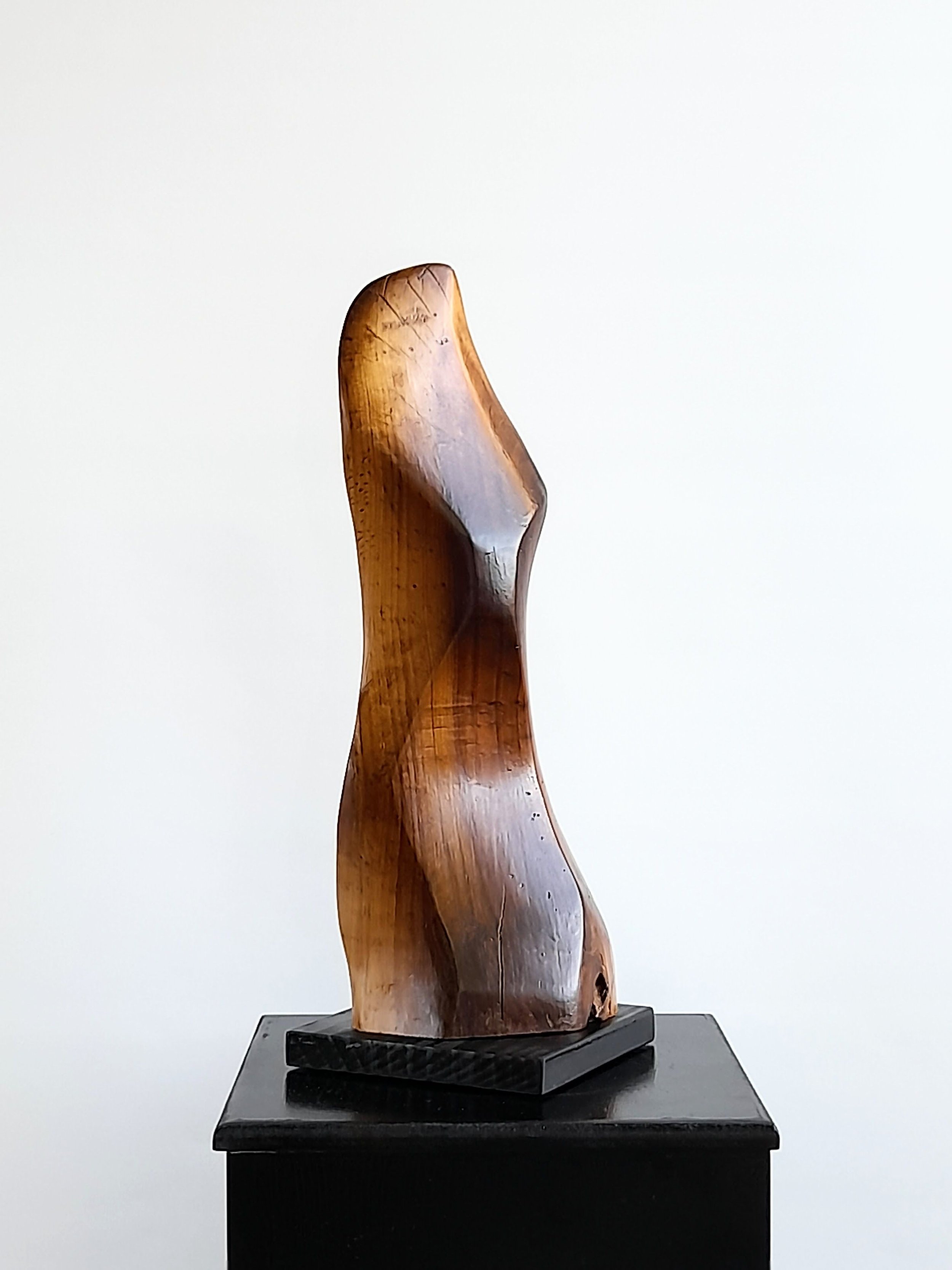 Two-sided abstract timber sculpture titled Duality of Being, displaying contrasting carved textures and rich wood grain.