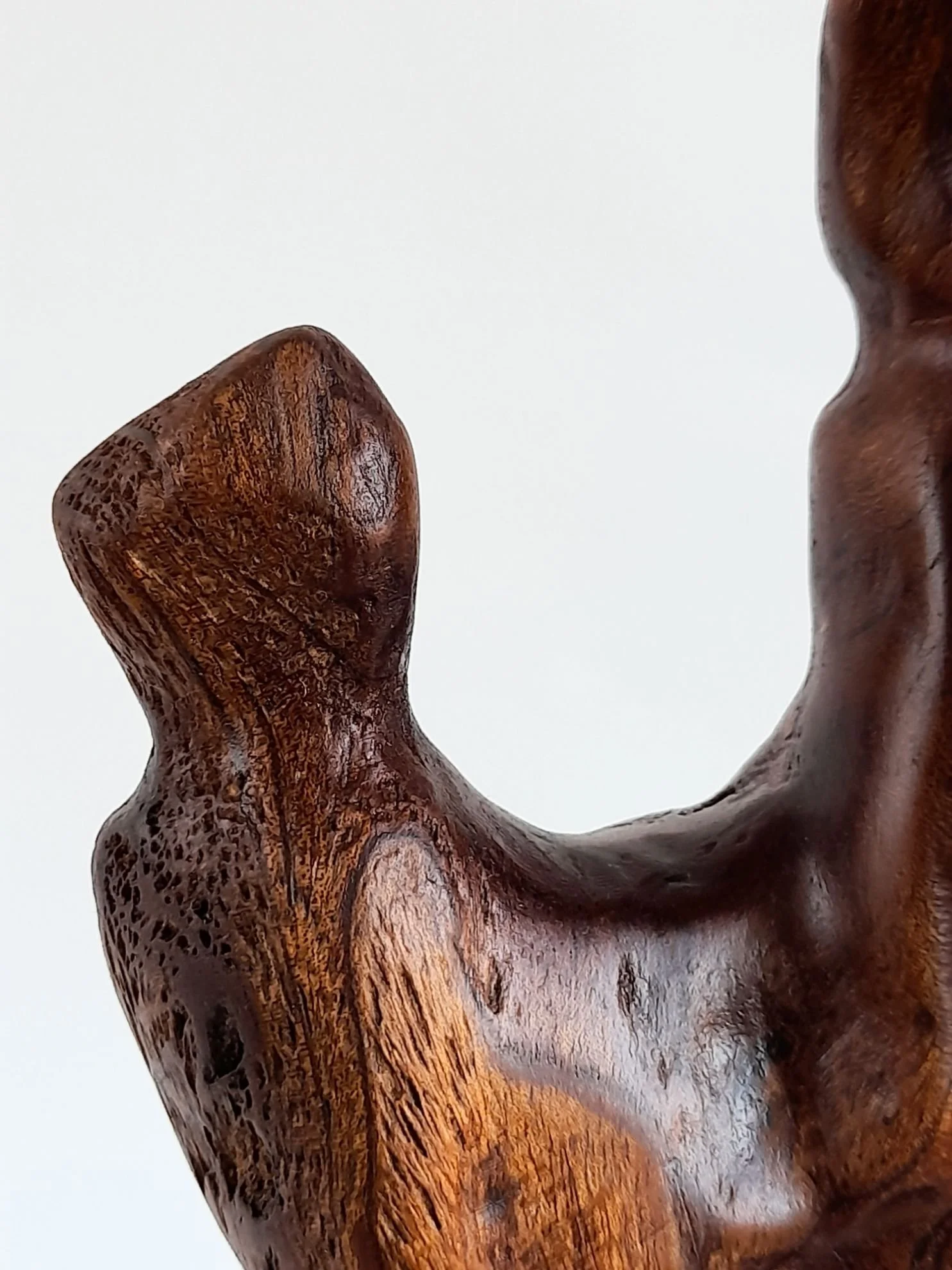 Close-up view of Adoration sculpture showing the gentle hand-carved contours, smooth satin finish, and flowing wood grain.