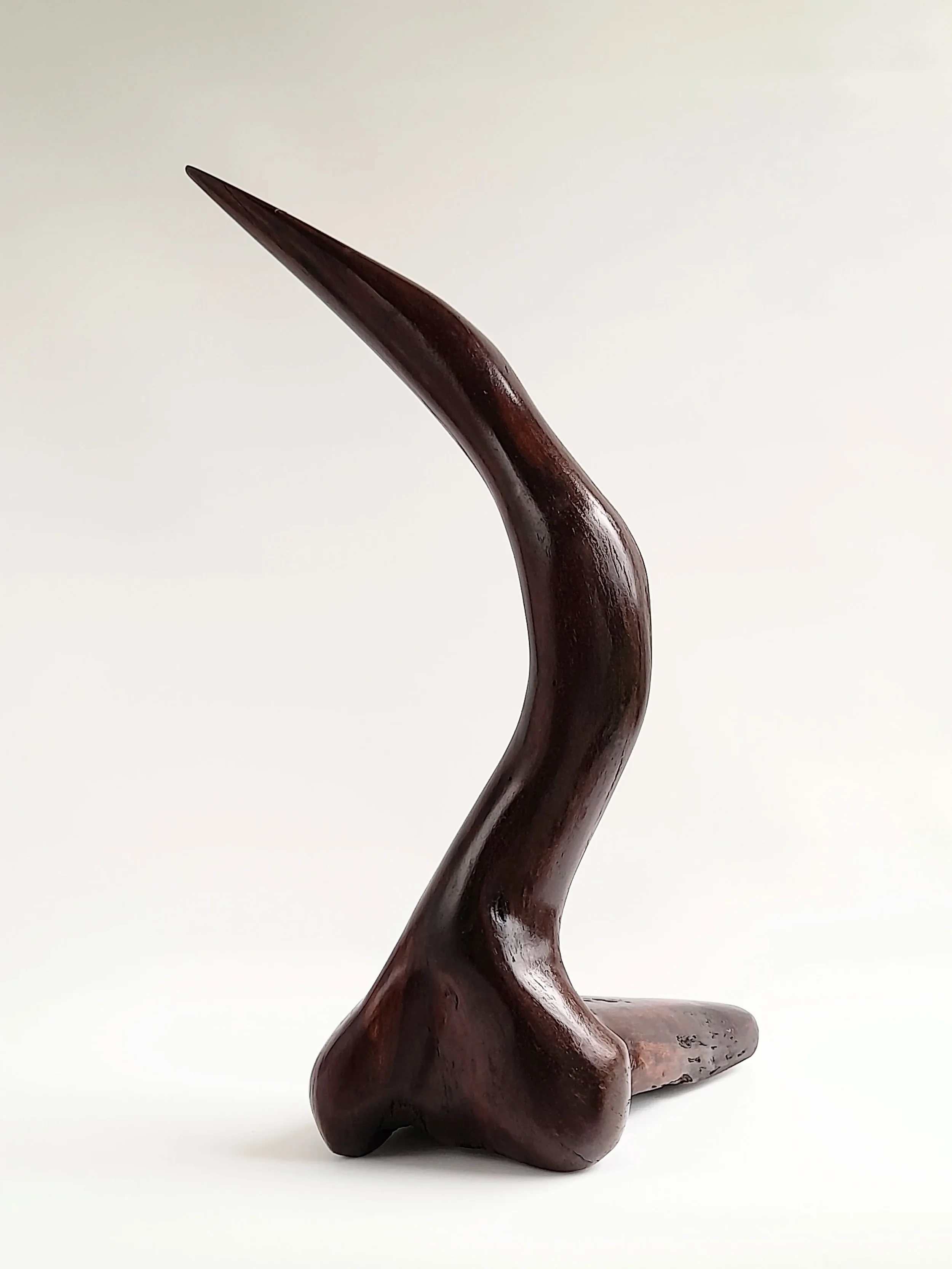 Large abstract hand-carved dark Australian Blackwood avian sculpture mimicking a South Coast pelican on a black pedestal titled Majestic Grace.