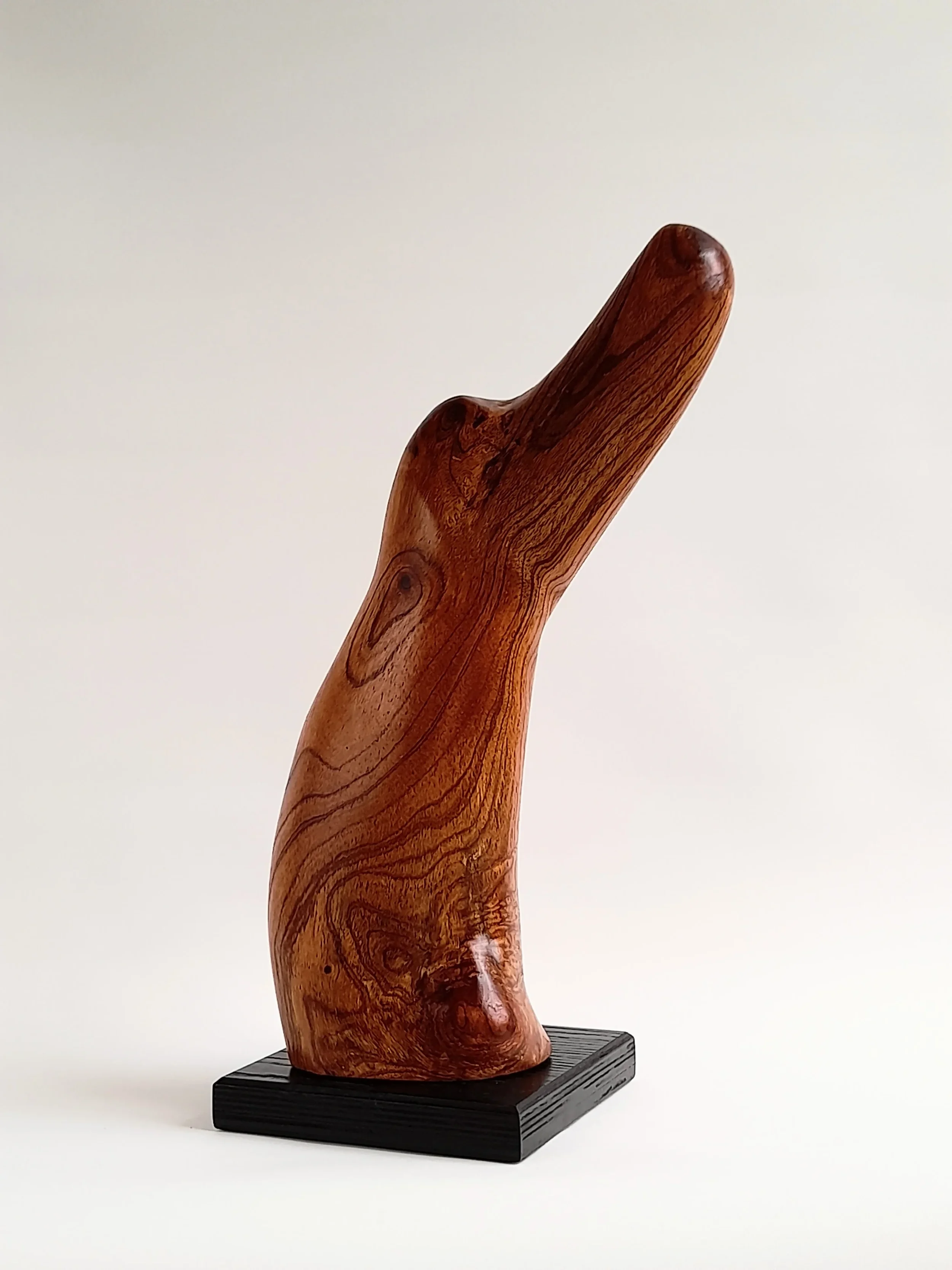 Fluid hand-carved Australian Red Cedar animal sculpture on a black pedestal titled Vigilant.