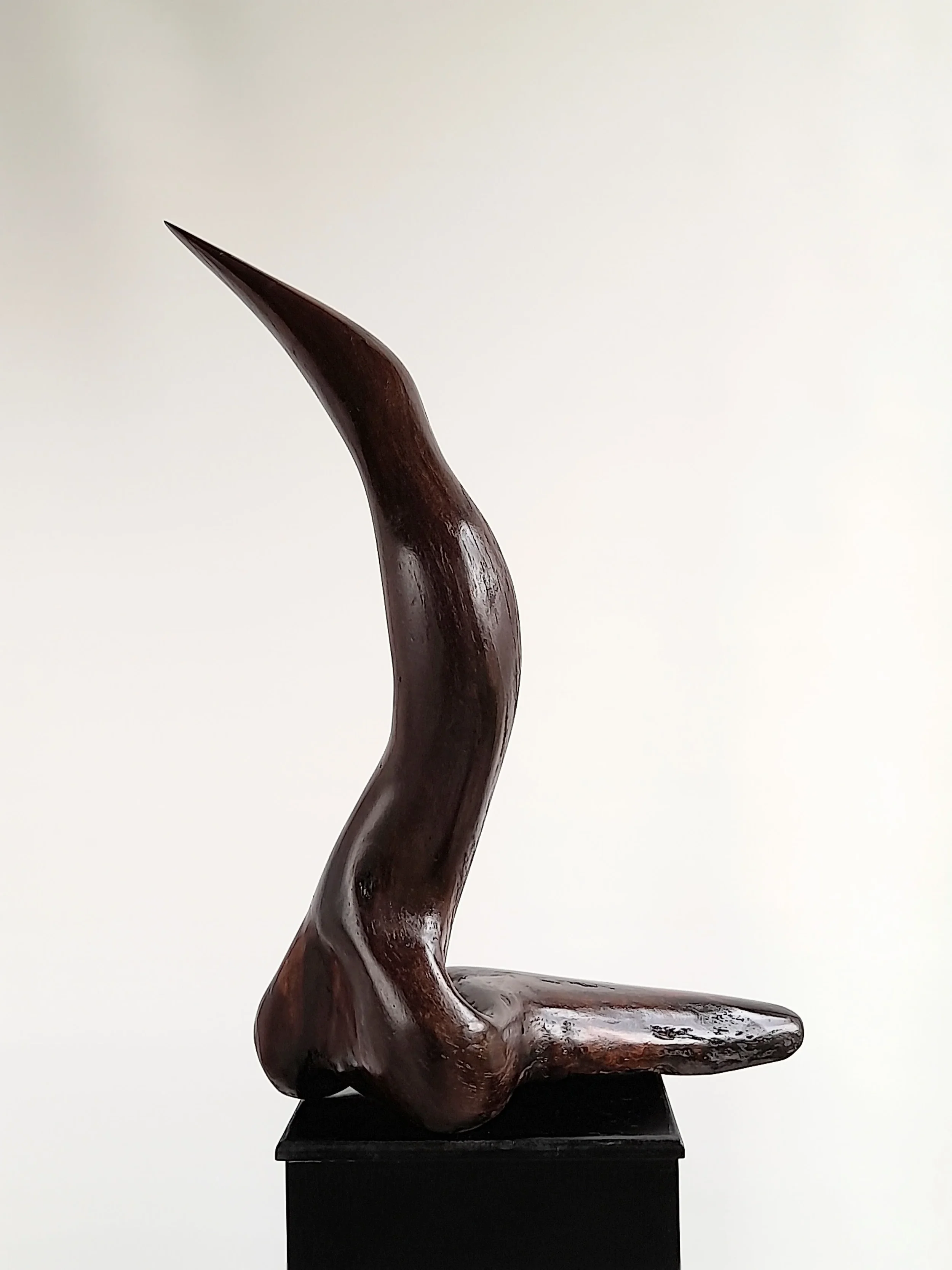 Large abstract hand-carved dark Australian Blackwood avian sculpture mimicking a South Coast pelican on a black pedestal titled Majestic Grace.
