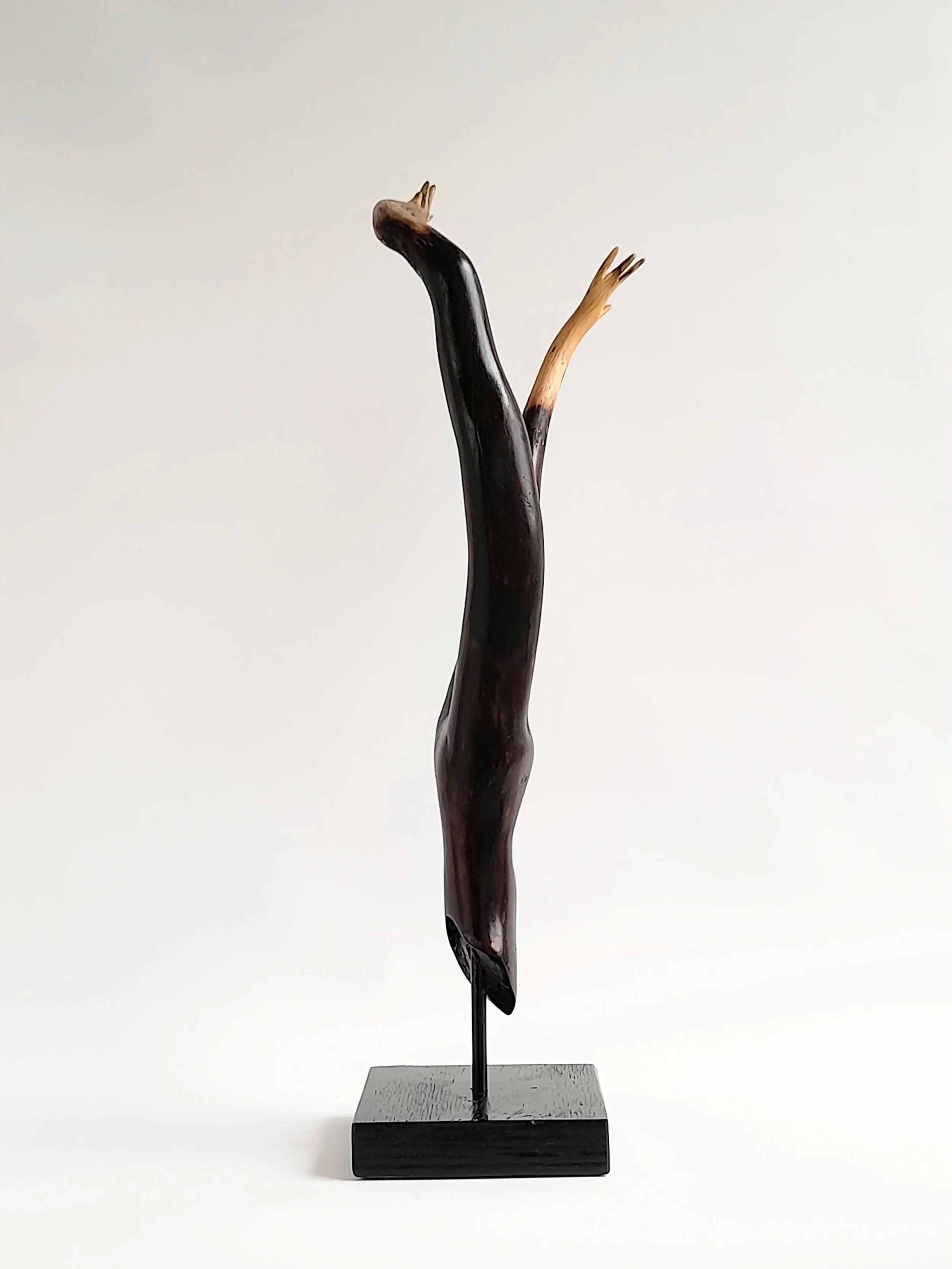 Minimalist charred Illawarra Flame Tree wood sculpture reaching upward on a black stand titled Reaching Through.