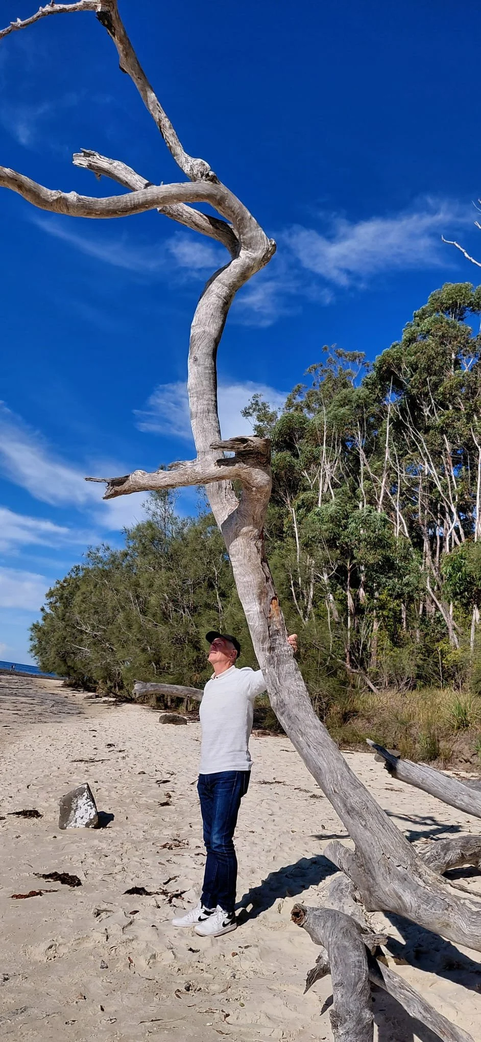 Australian wood sculptor Ole Jensen working with salvaged timber on the South Coast
