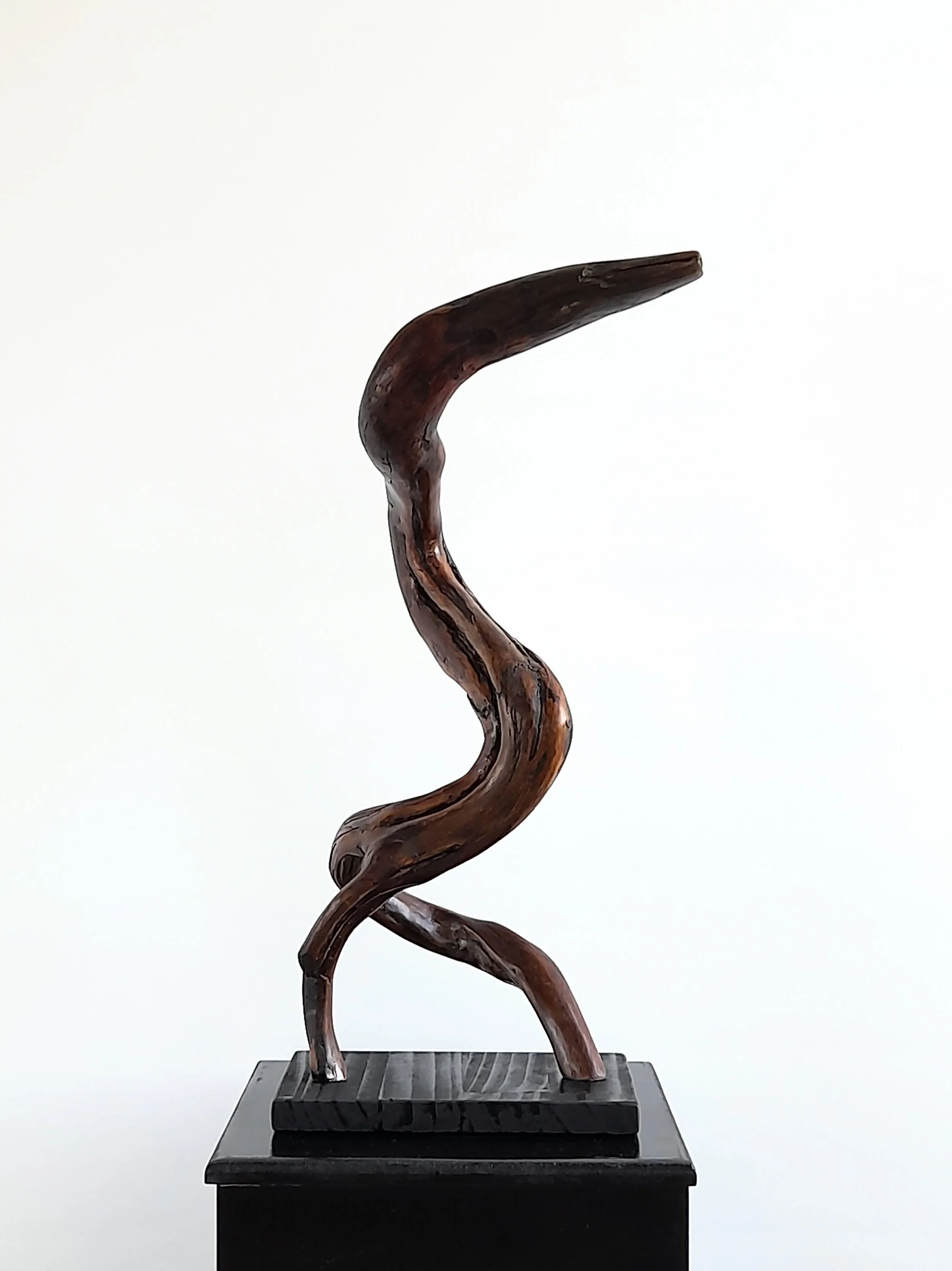 and-carved Blackwood bird sculpture titled Firebird by Ole Jensen, featuring deep brown timber with black bushfire veins on a dark base.