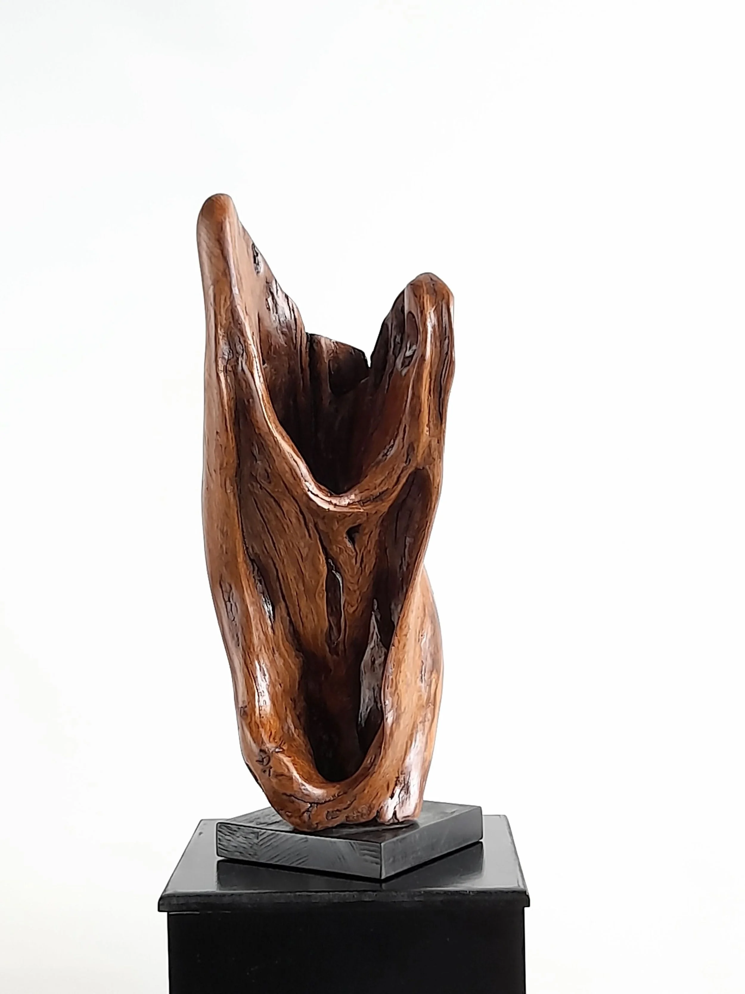 Abstract fluid wooden sculpture titled The Dance of Life, showcasing sweeping curved timber forms and fine hand-polished finish.