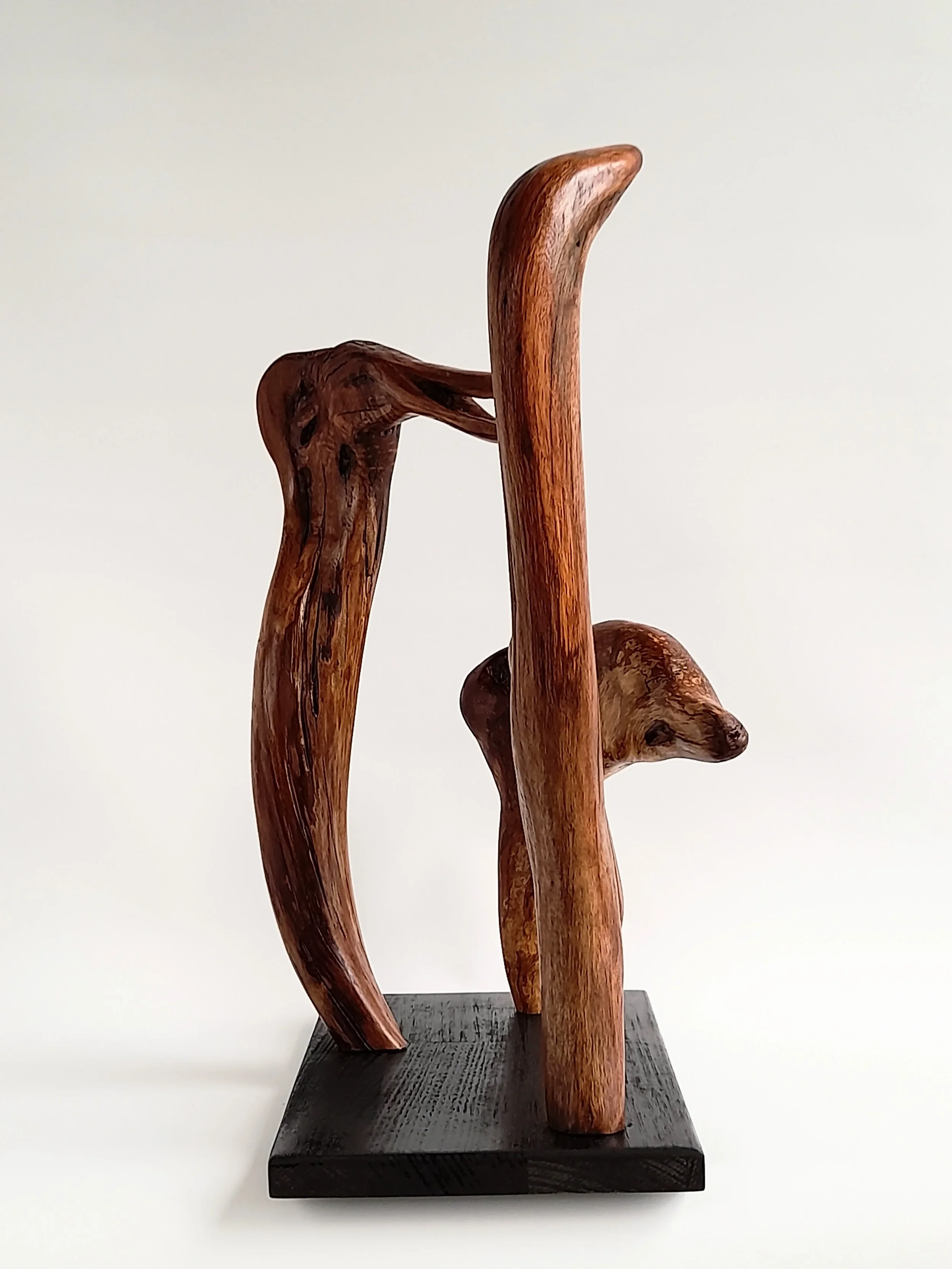 Group of three distinct hand-carved wood bird sculptures on a single black pedestal titled Harmonious Diversity.