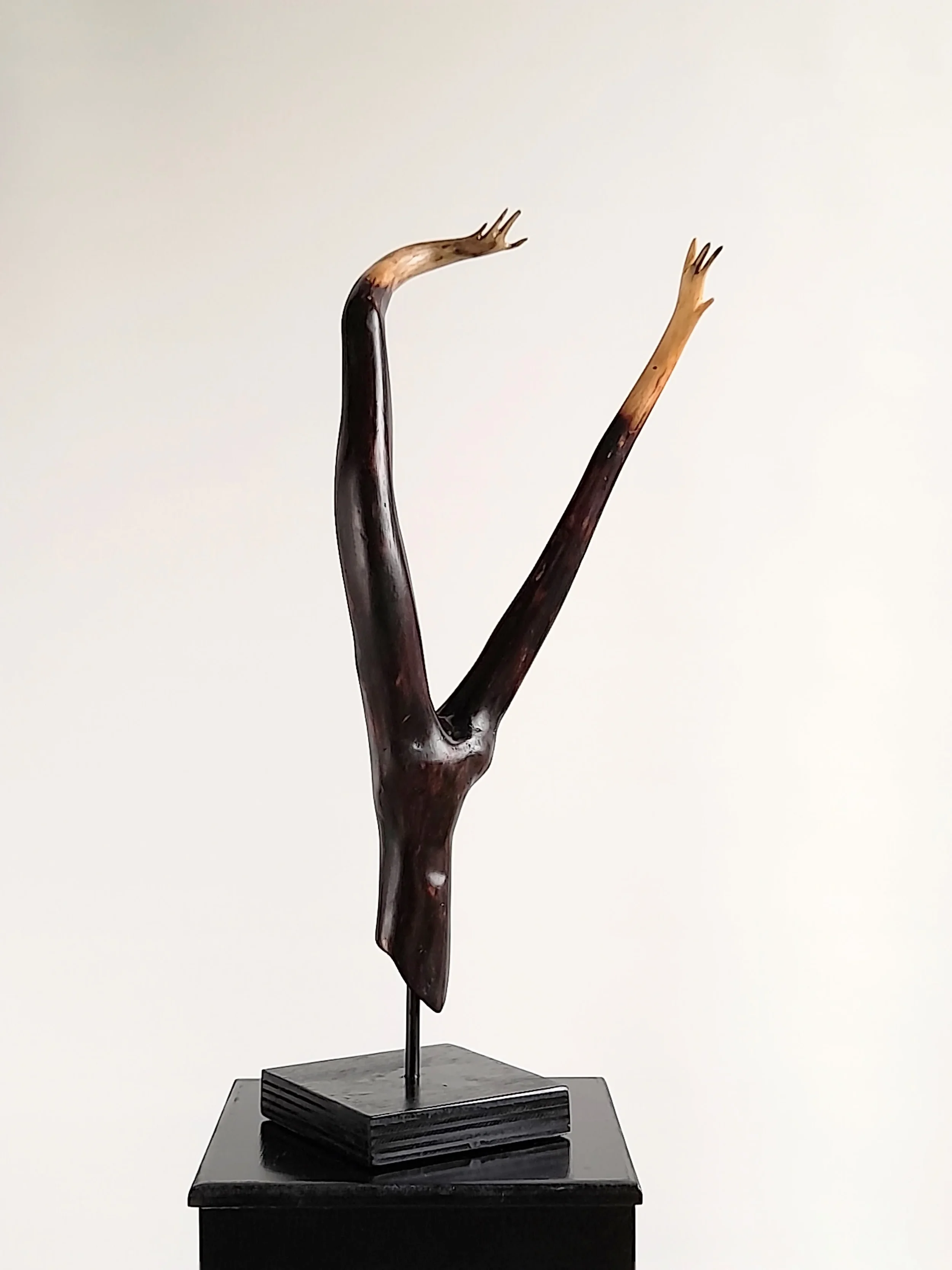 Minimalist charred Illawarra Flame Tree wood sculpture reaching upward on a black stand titled Reaching Through.