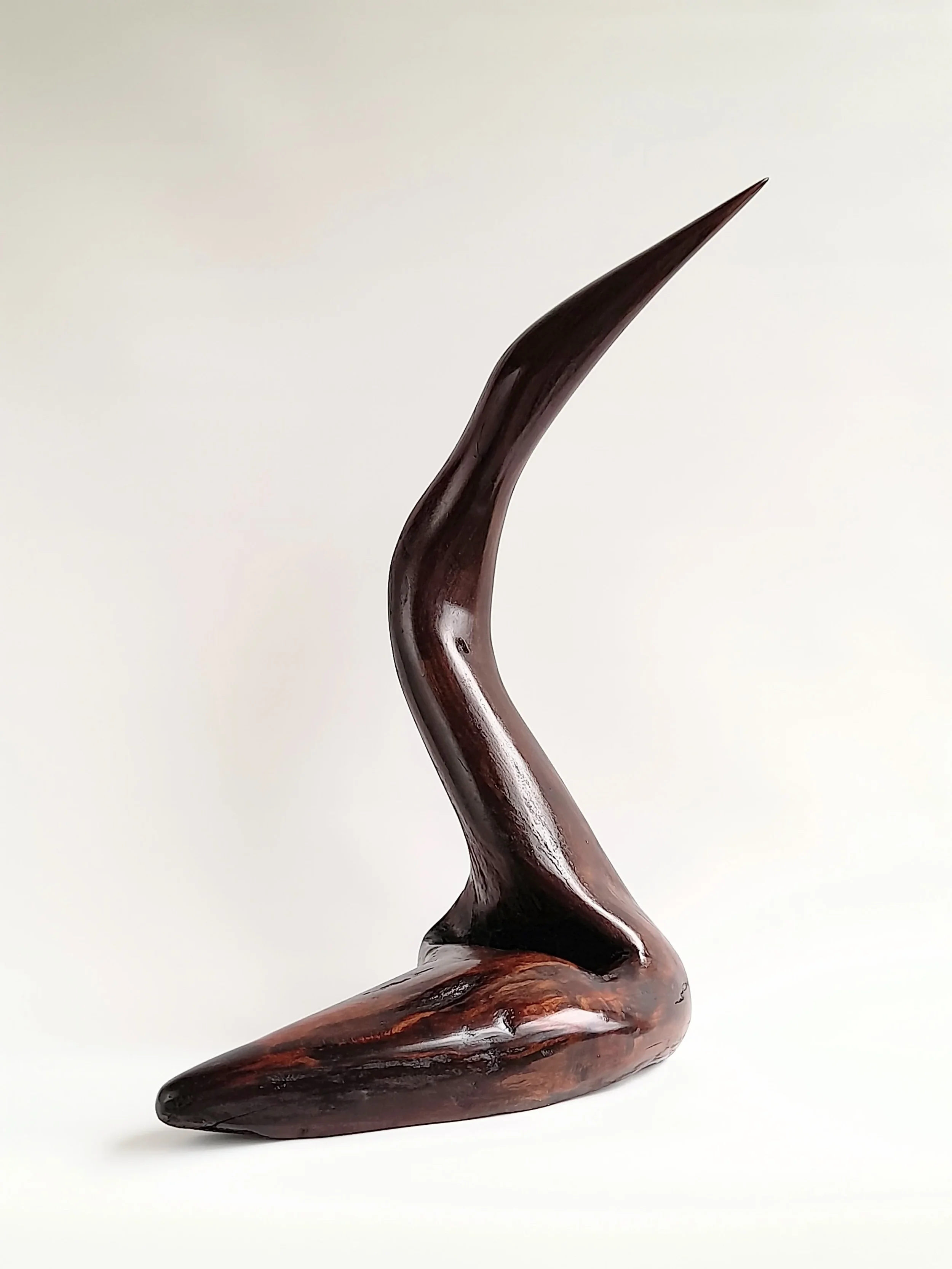 Large abstract hand-carved dark Australian Blackwood avian sculpture mimicking a South Coast pelican on a black pedestal titled Majestic Grace.
