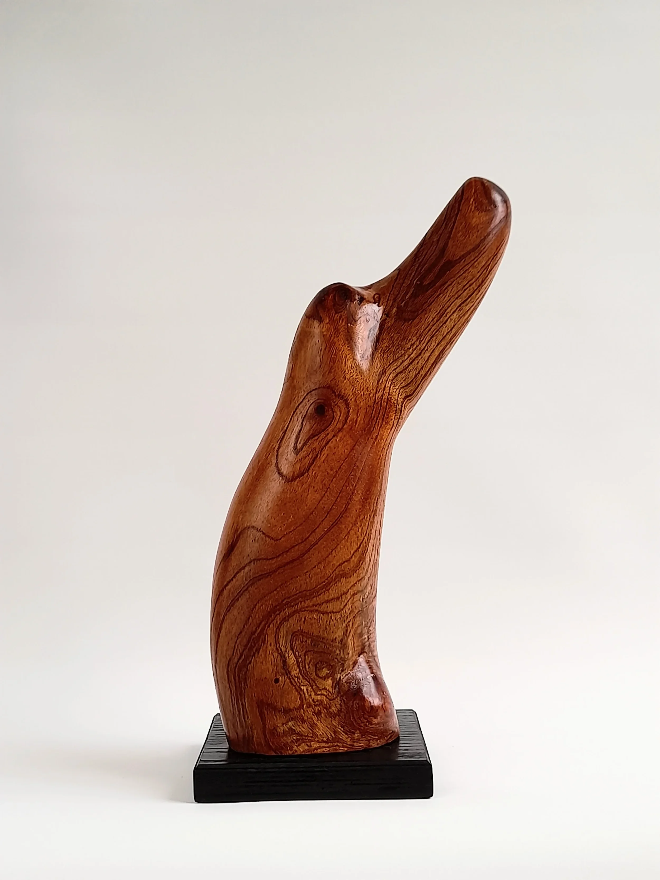 Organic hand-carved Australian Red Cedar animal sculpture on a black pedestal titled Vigilant.