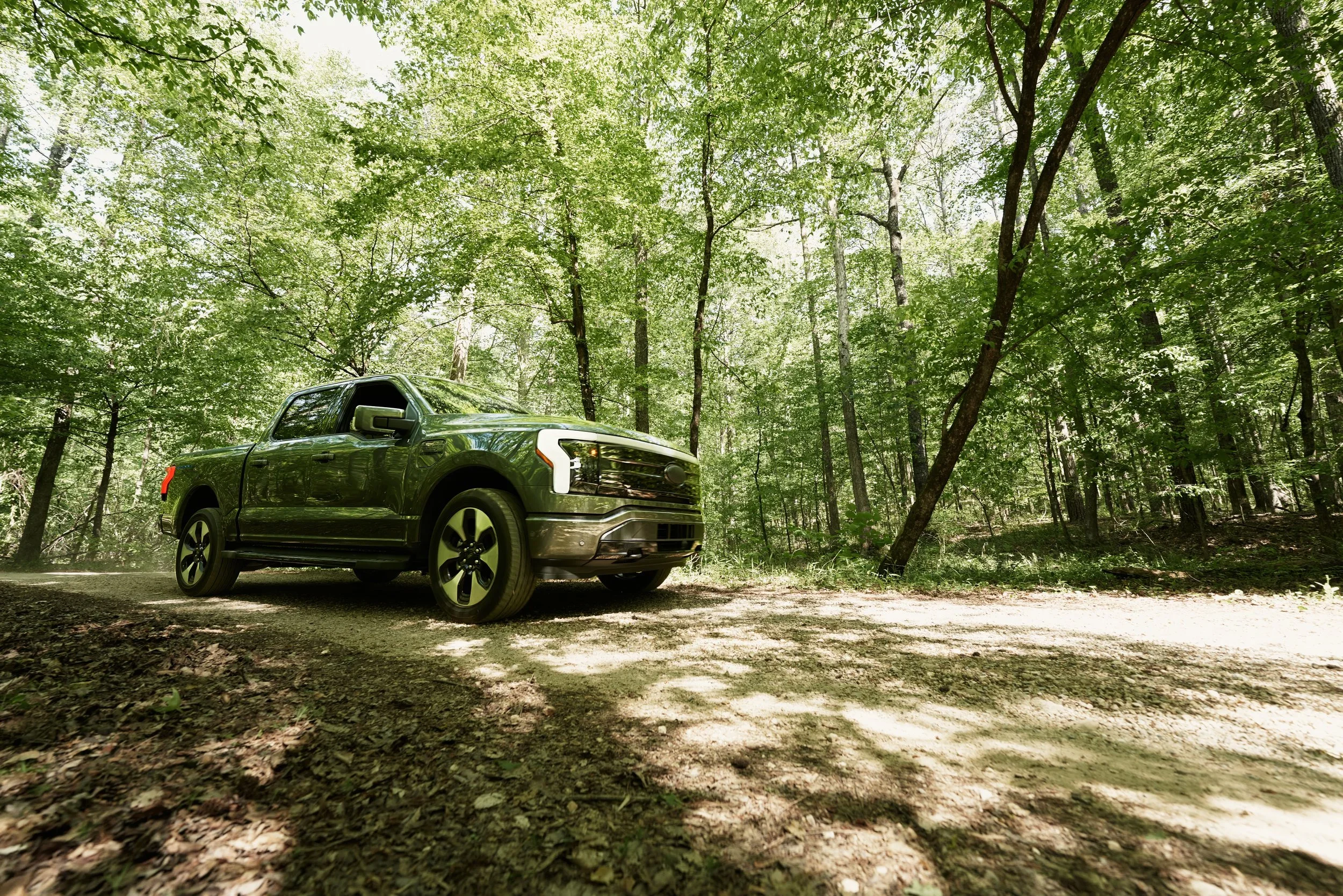 A dark green pickup truck is parked on a dirt path in a dense, green forest with tall trees and sunlight filtering through the leaves.