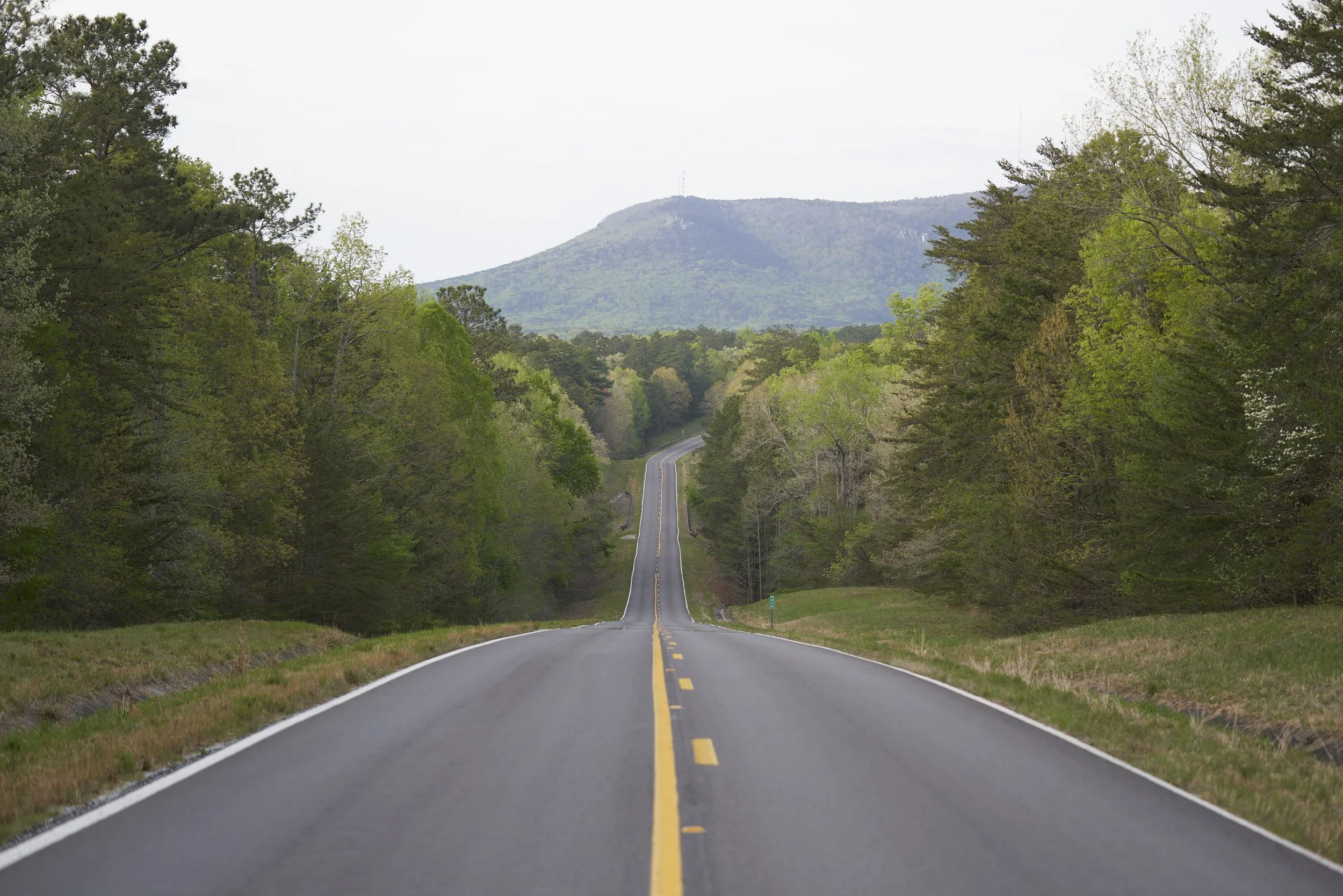 Long straight road through green landscape with trees on both sides and a mountain in the background.
