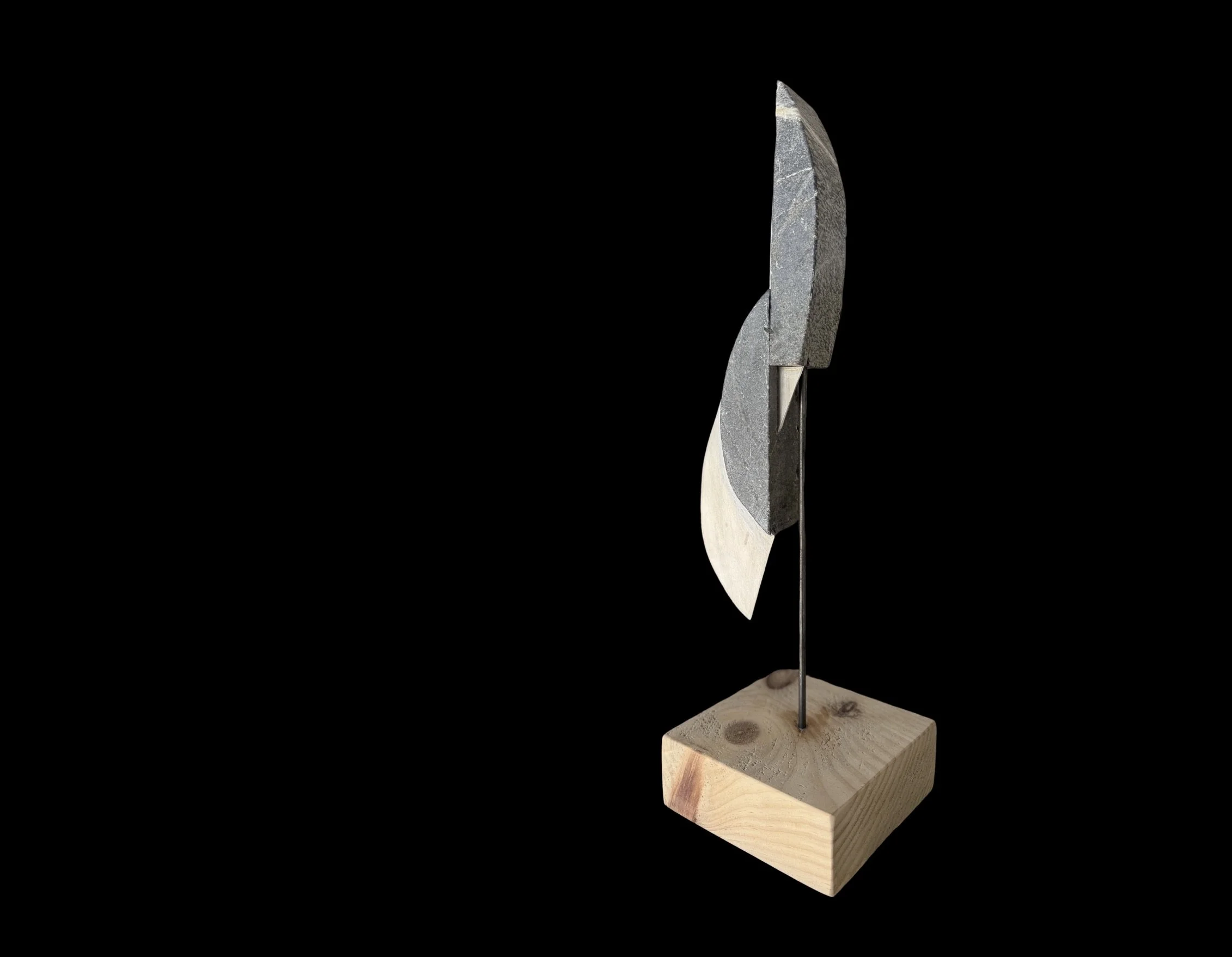 Spear Shadow From the Series Between Orbits by Aleksandra Scepanovic.jpeg