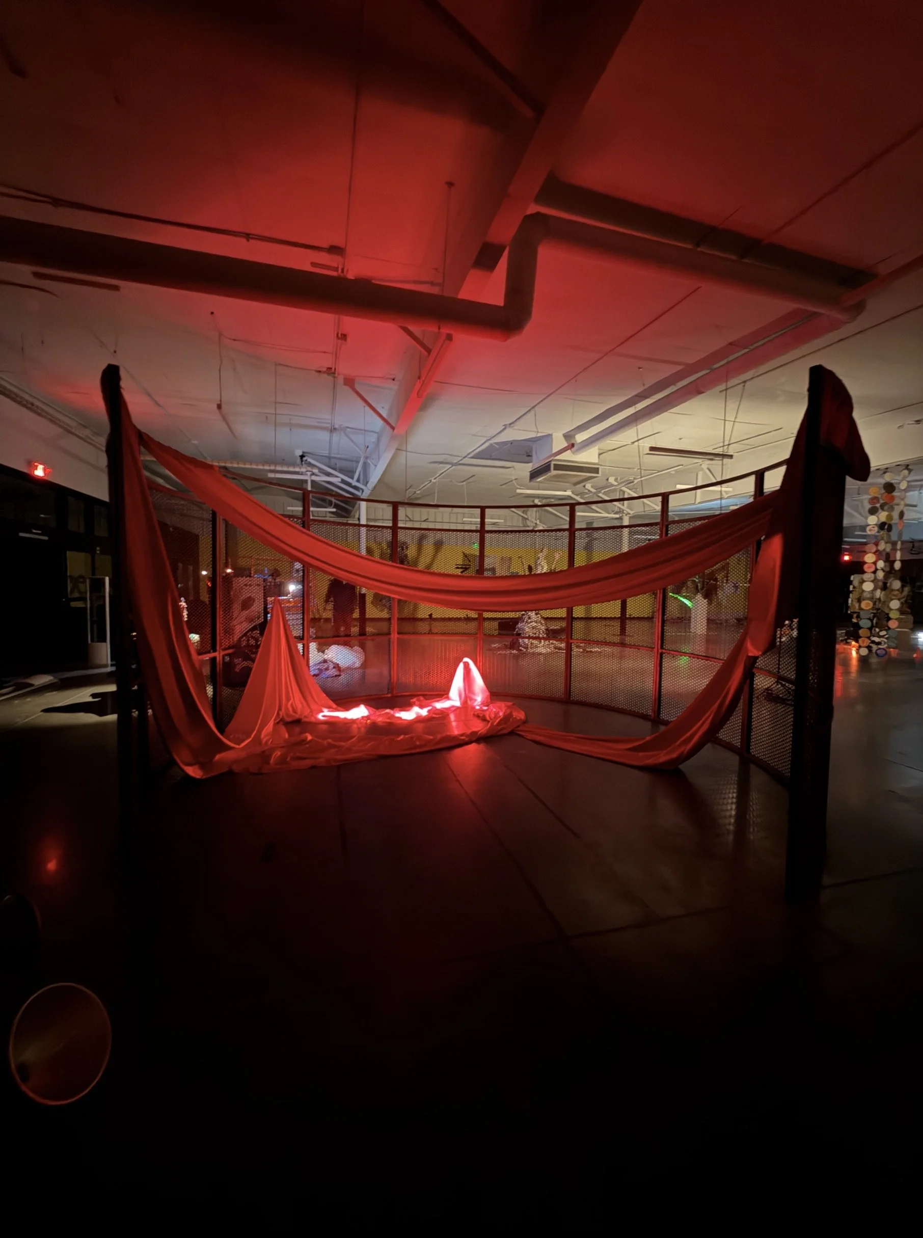 The Proof of Life Installation by Aleksandra Scepanovic 12.jpeg