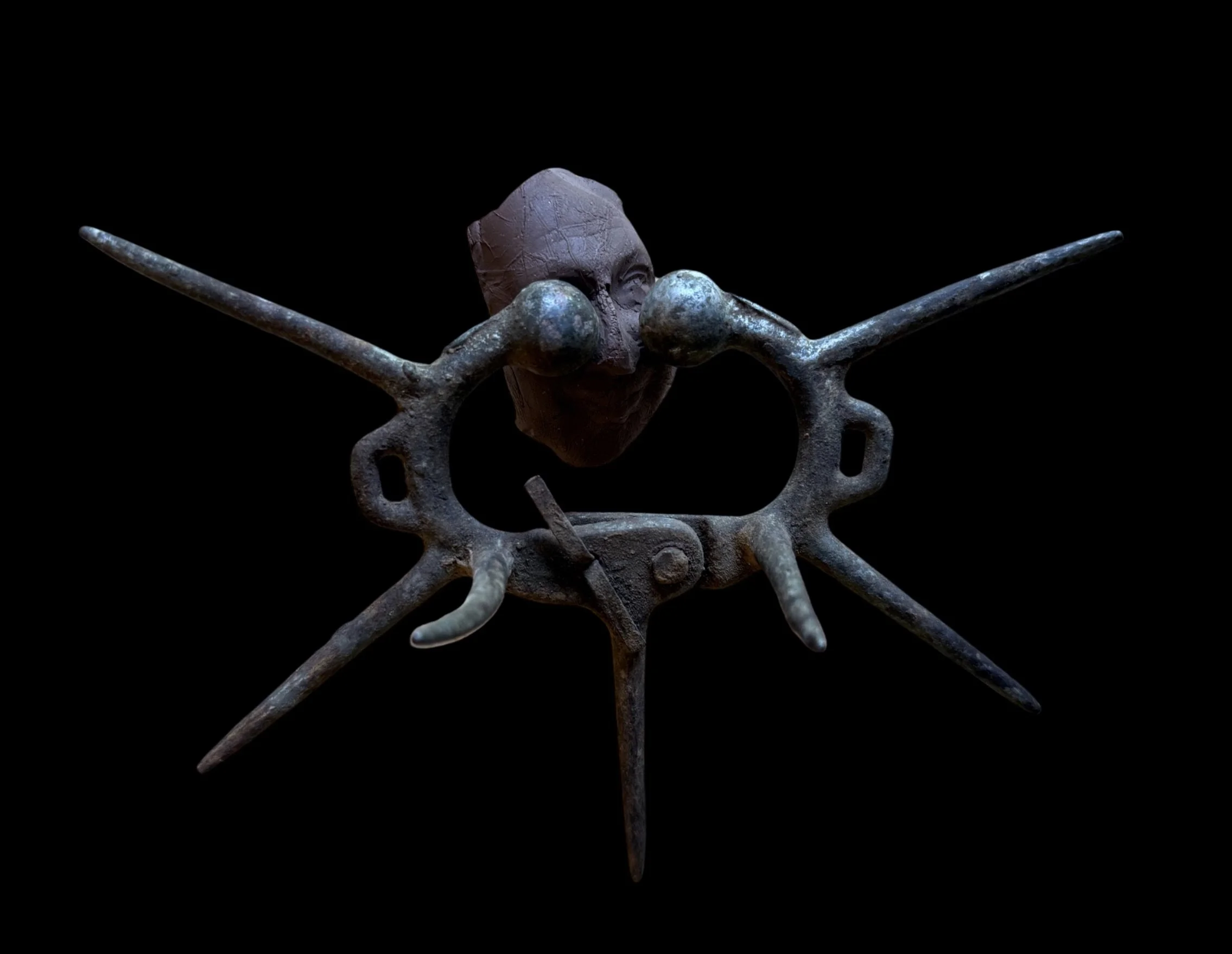 The Muzzled by Aleksandra Scepanovic.jpeg