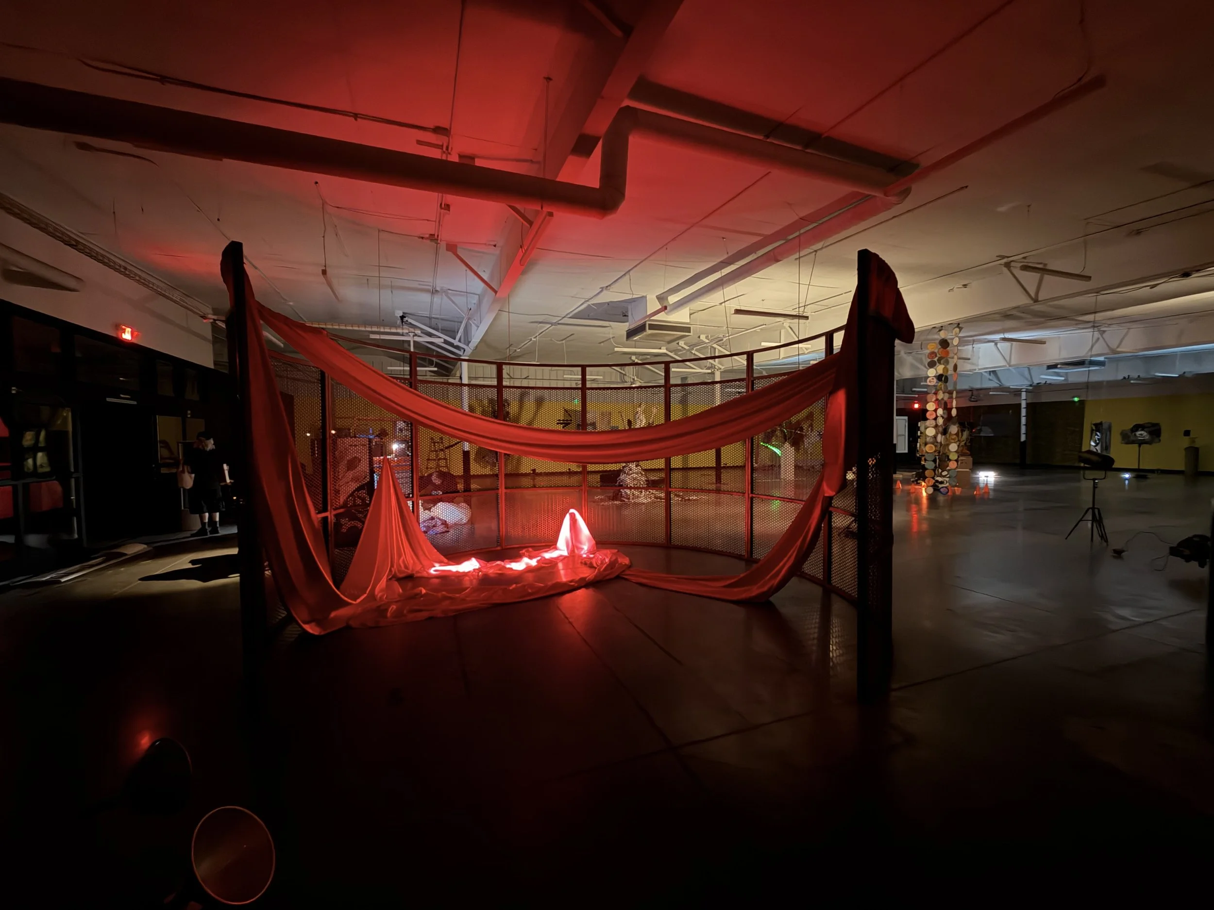 The Proof of Life Installation by Aleksandra Scepanovic 22.jpeg