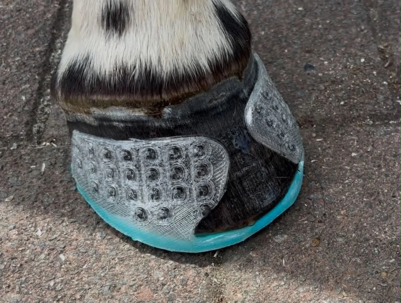 A teal shoe and clear GG cuffs applied by BOP Barefoot Hoofcare. A nice super glue application.
