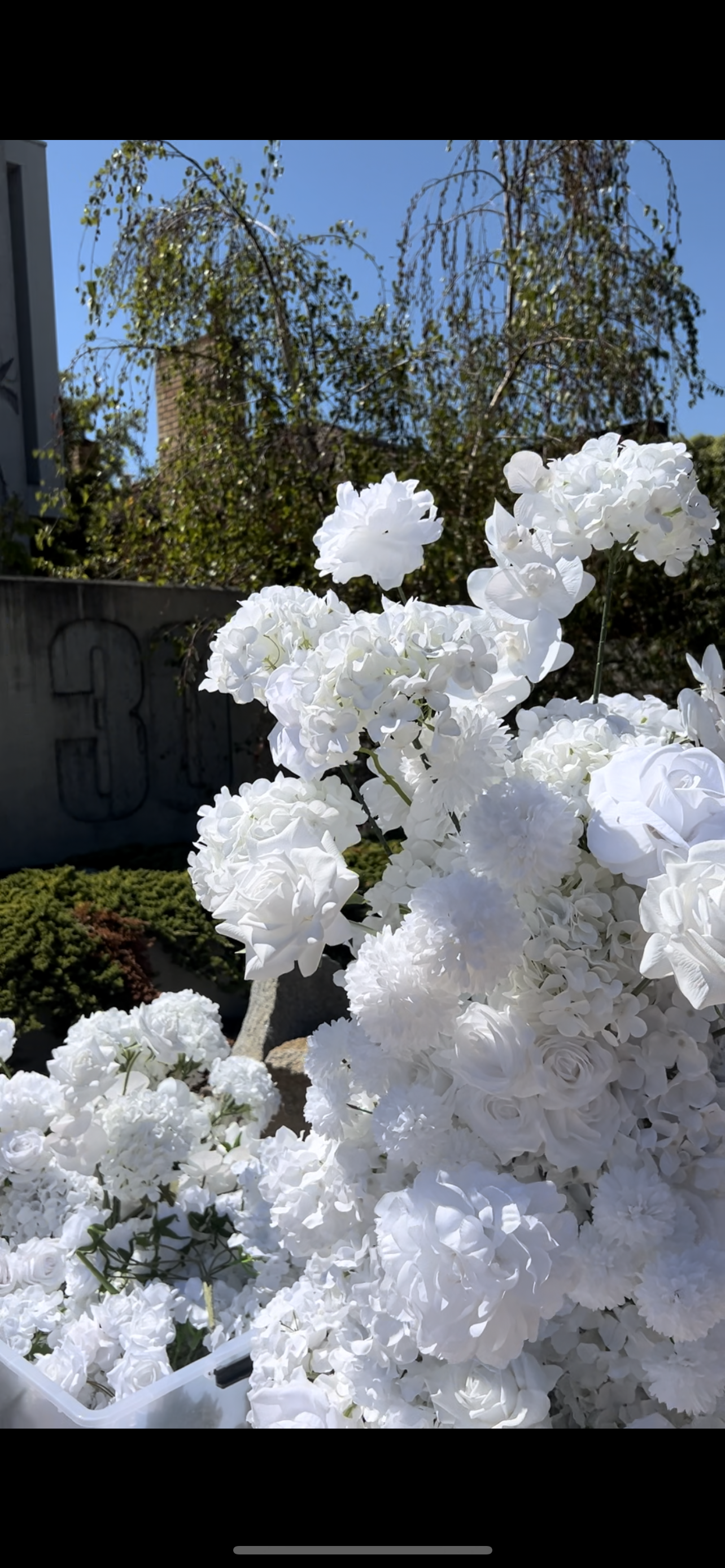 IMG_5621.PNG