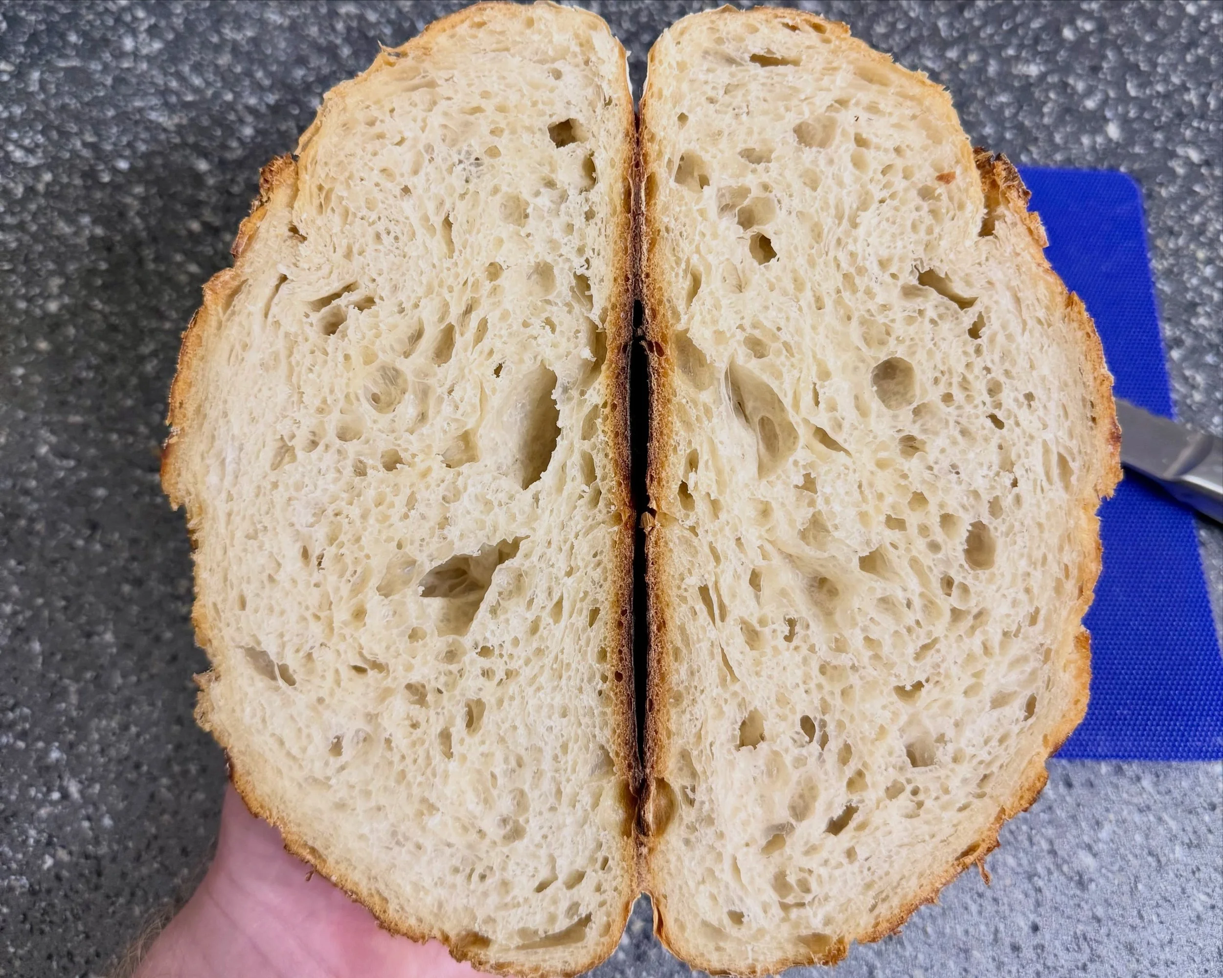 Le crumb. #sourdough #artisanbread #baking #homemade #bread