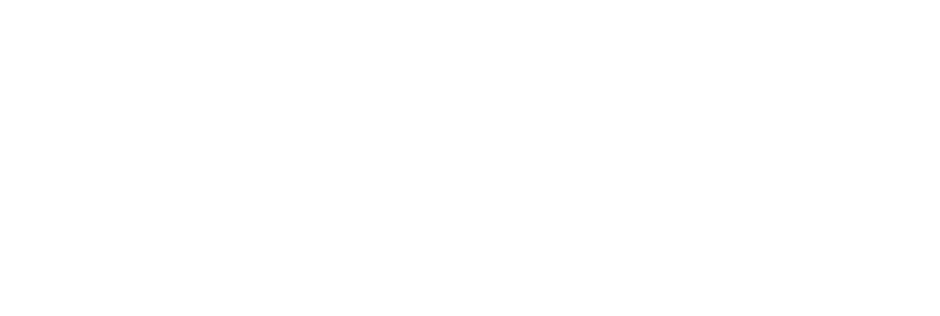 Windhoek Logo