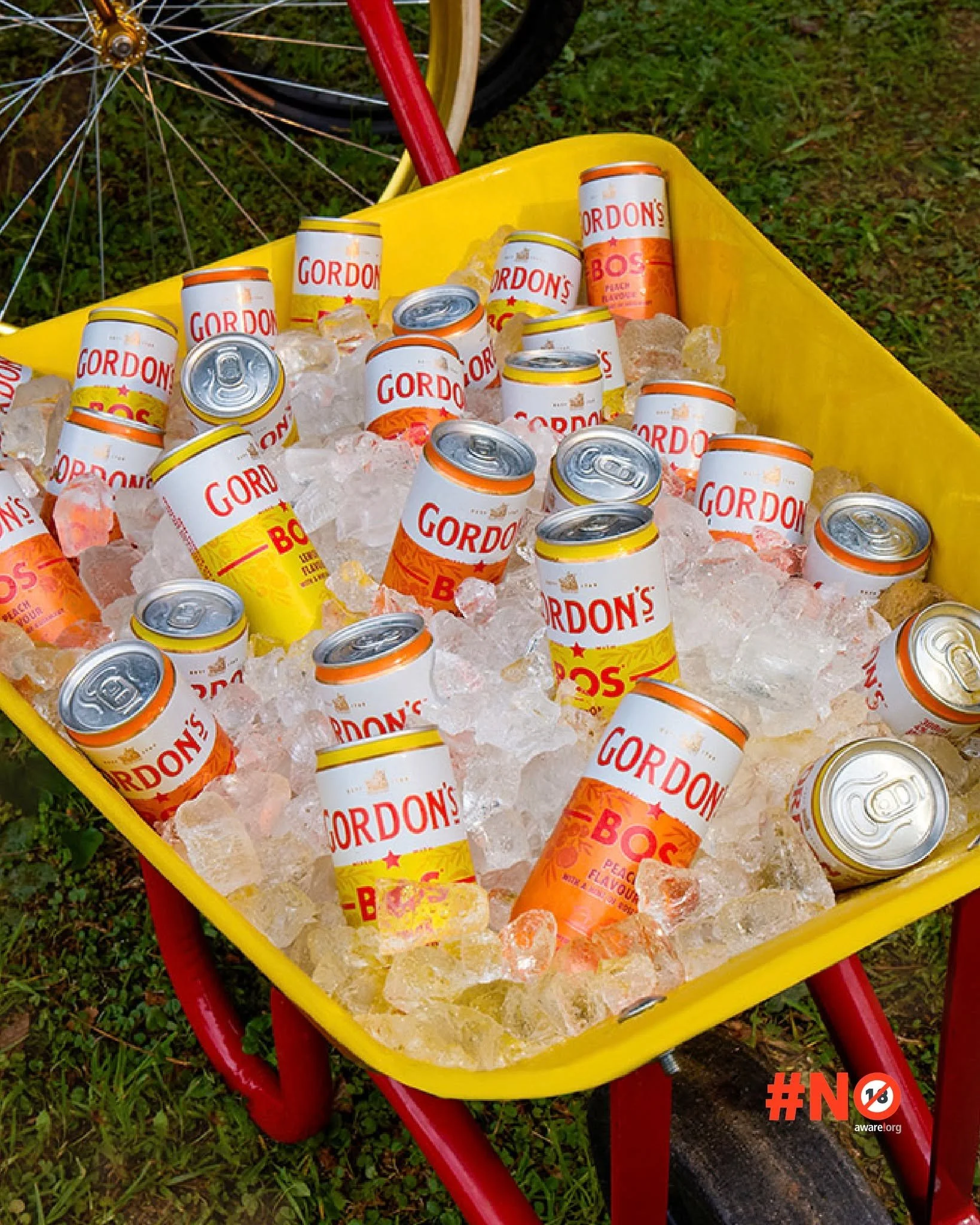 From iced tea to front row - Gordon&rsquo;s x BOS G&amp;Tea is bringing something #refreshinglynnexpected to Bliss ☀

Gordon&rsquo;s gin blended with BOS rooibos iced tea, chilled and ready for festival day. And honestly&hellip; how cool are these ca