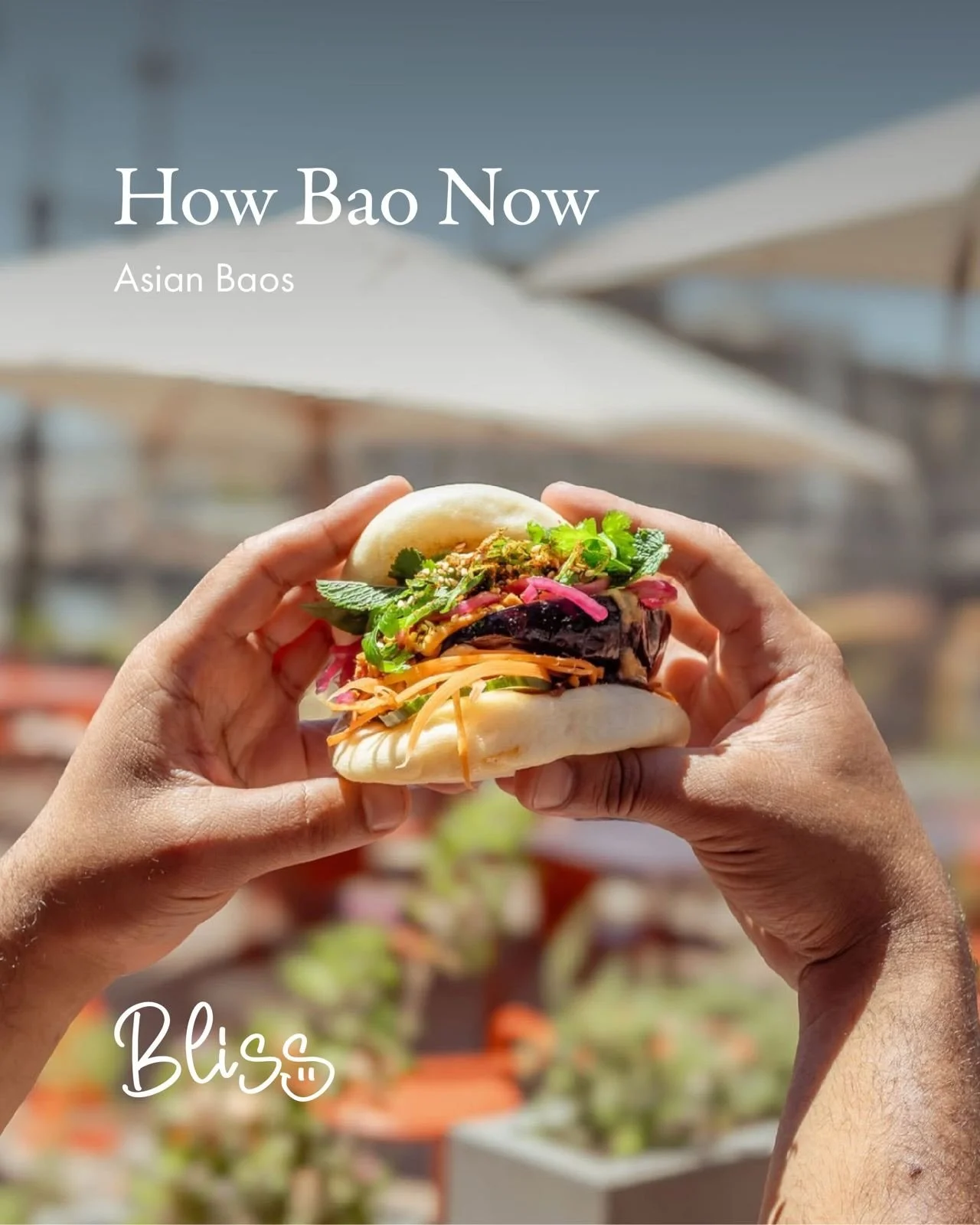 Bao buns at a festival? Absolutely😍
How Bao Now is bringing the good stuff to the Bliss Market - pillowy Asian bao buns made for grazing your way through the day.

One for now, another for later&hellip; although we&rsquo;re making no promises on the