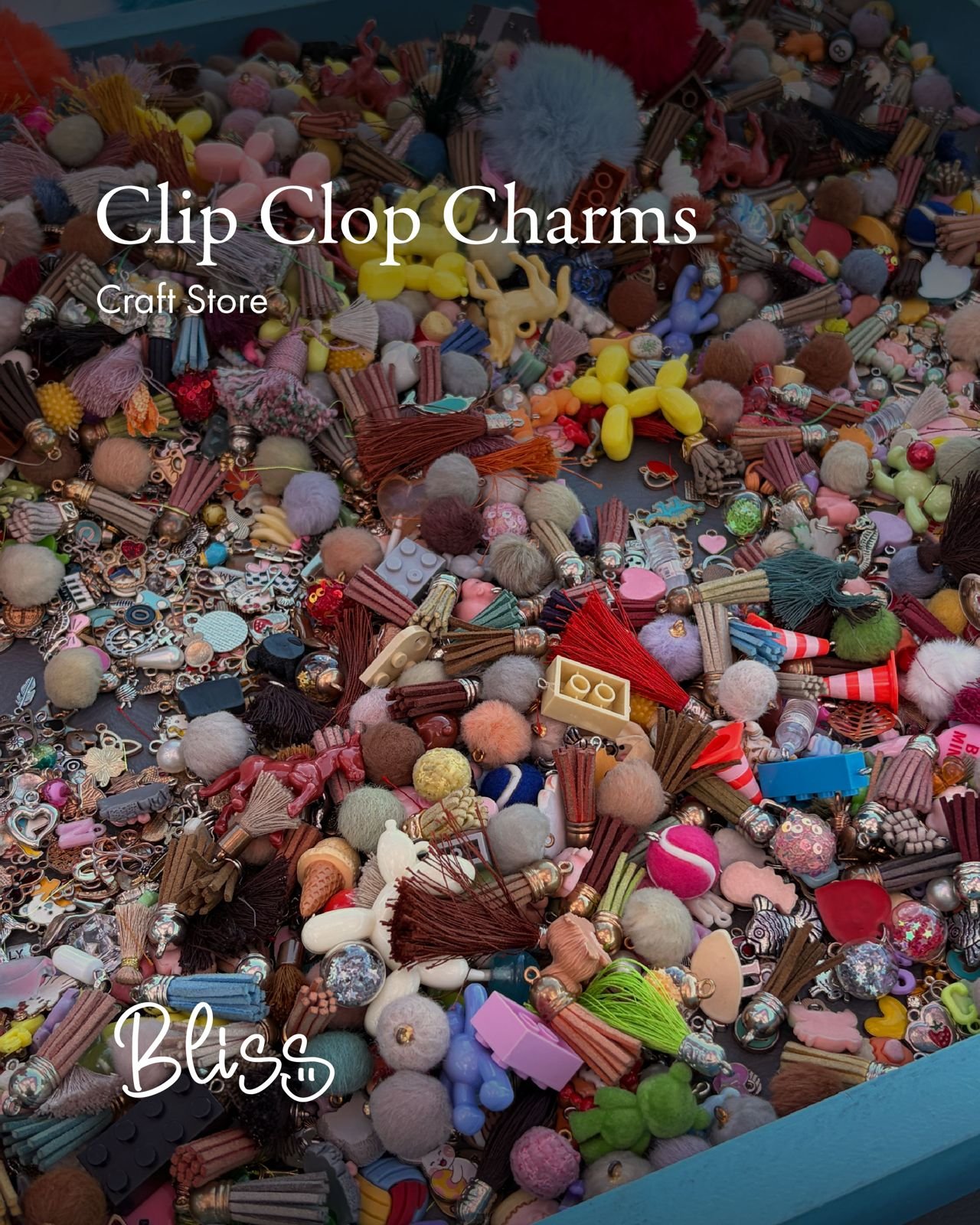 Bliss just got a little more charming ✨ Clip Clop Charms is bringing its interactive Charm Bar to our teens area! Choose your favourite charms and create your own bracelet, keyring, bag charm or necklace - a personalised keepsake to take home.

Kids,