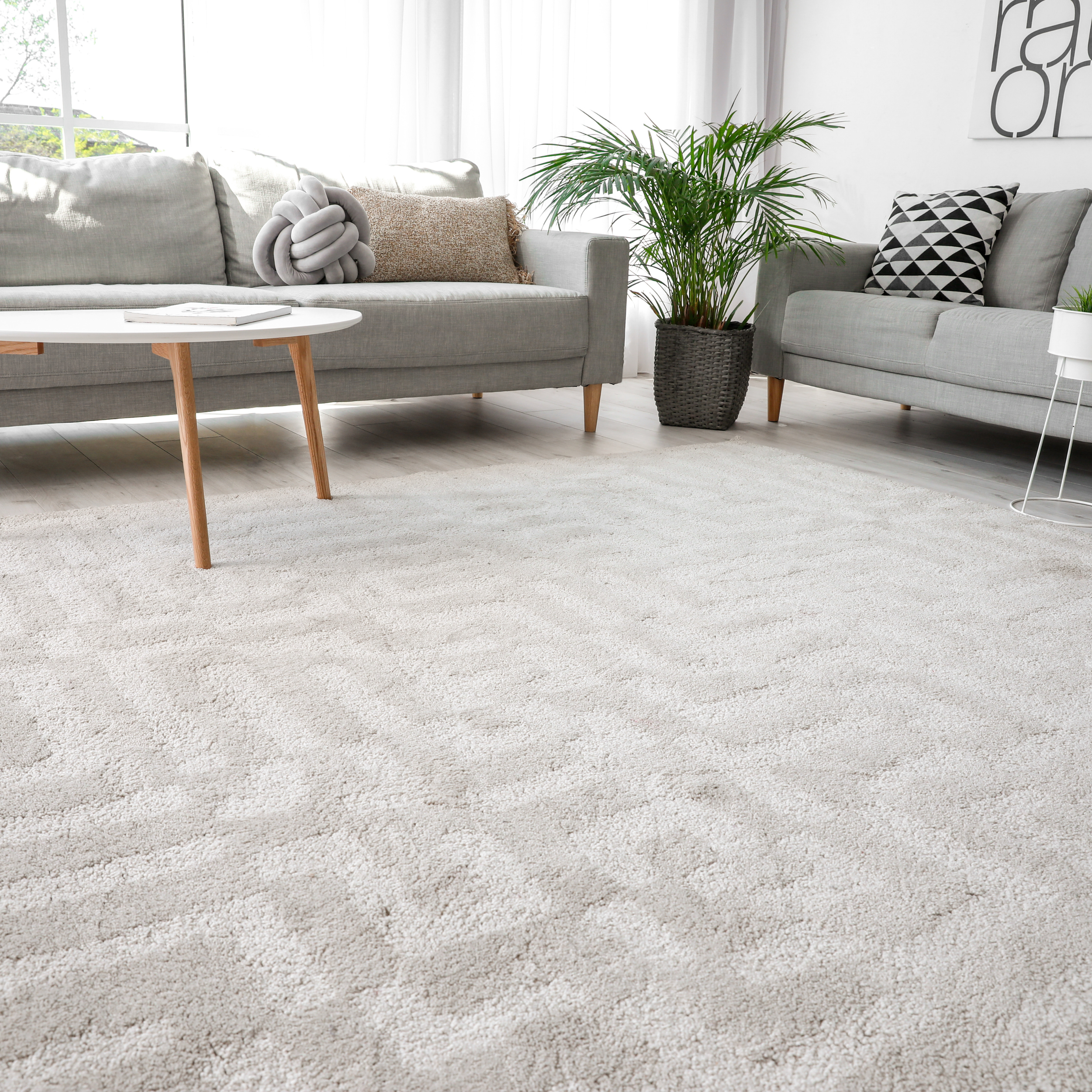Helles Wohnzimmer mit grauen Sofas, einem weißen Couchtisch, einem großen grünen Pflanzenkübel, Vorhängen und Wanddekoration