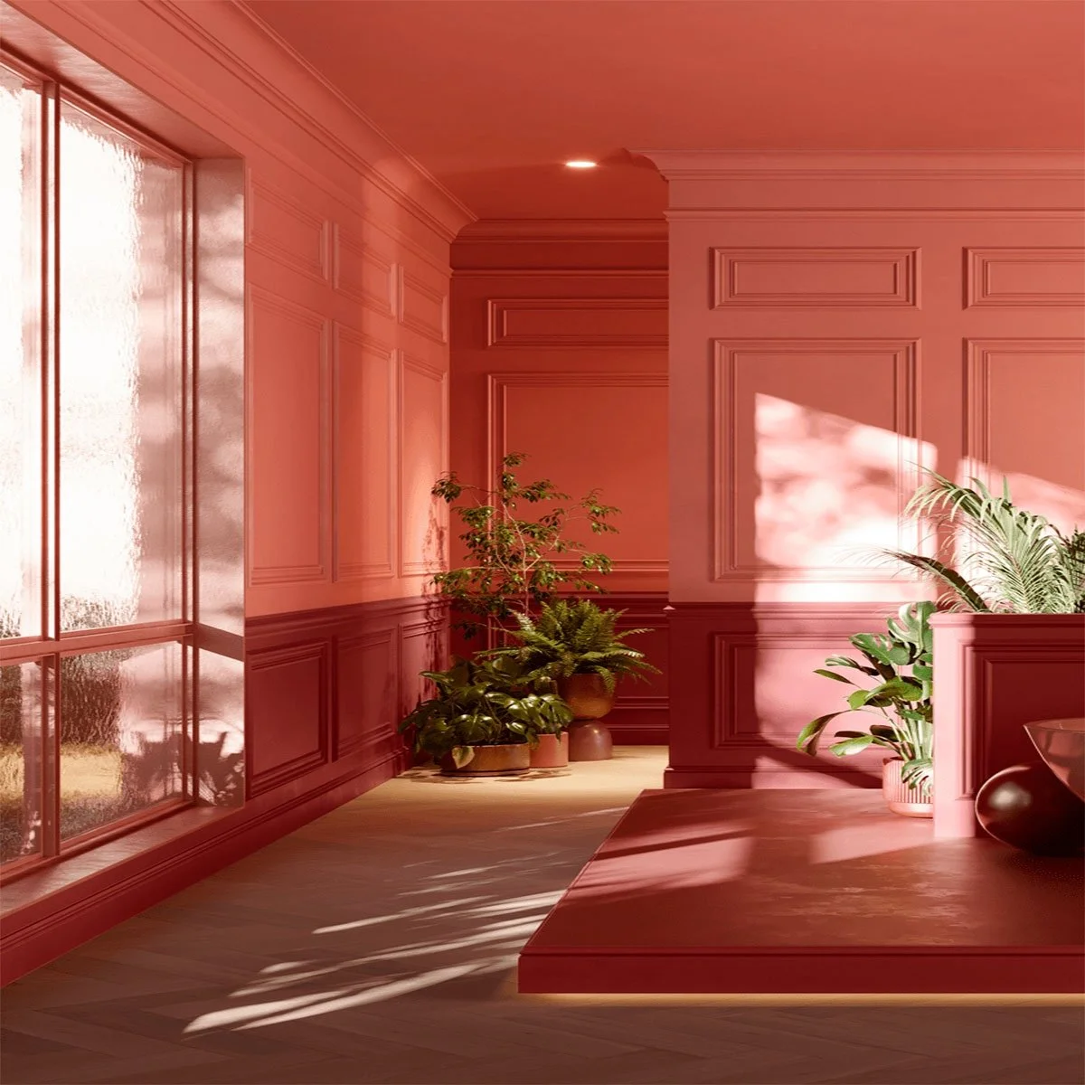 Ein sonnendurchflossener Raum mit rosa Wänden, Fenster mit Milchglas, mehrere Pflanzen in Töpfen, Schatten auf dem Holzfußboden.