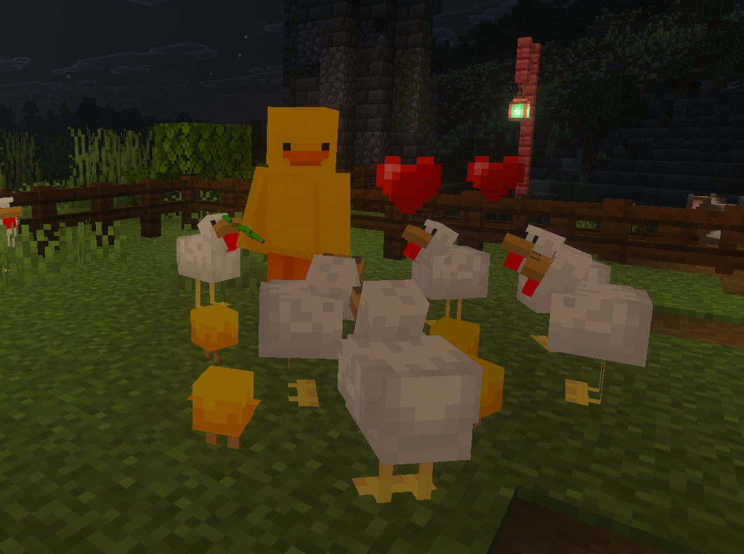 In a Minecraft scene at night, a person in a duck costume is feeding chickens, with several chickens gathered around and two red hearts floating above them, near a fence and a brick post with a lantern.