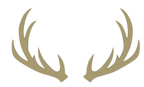 Antelope